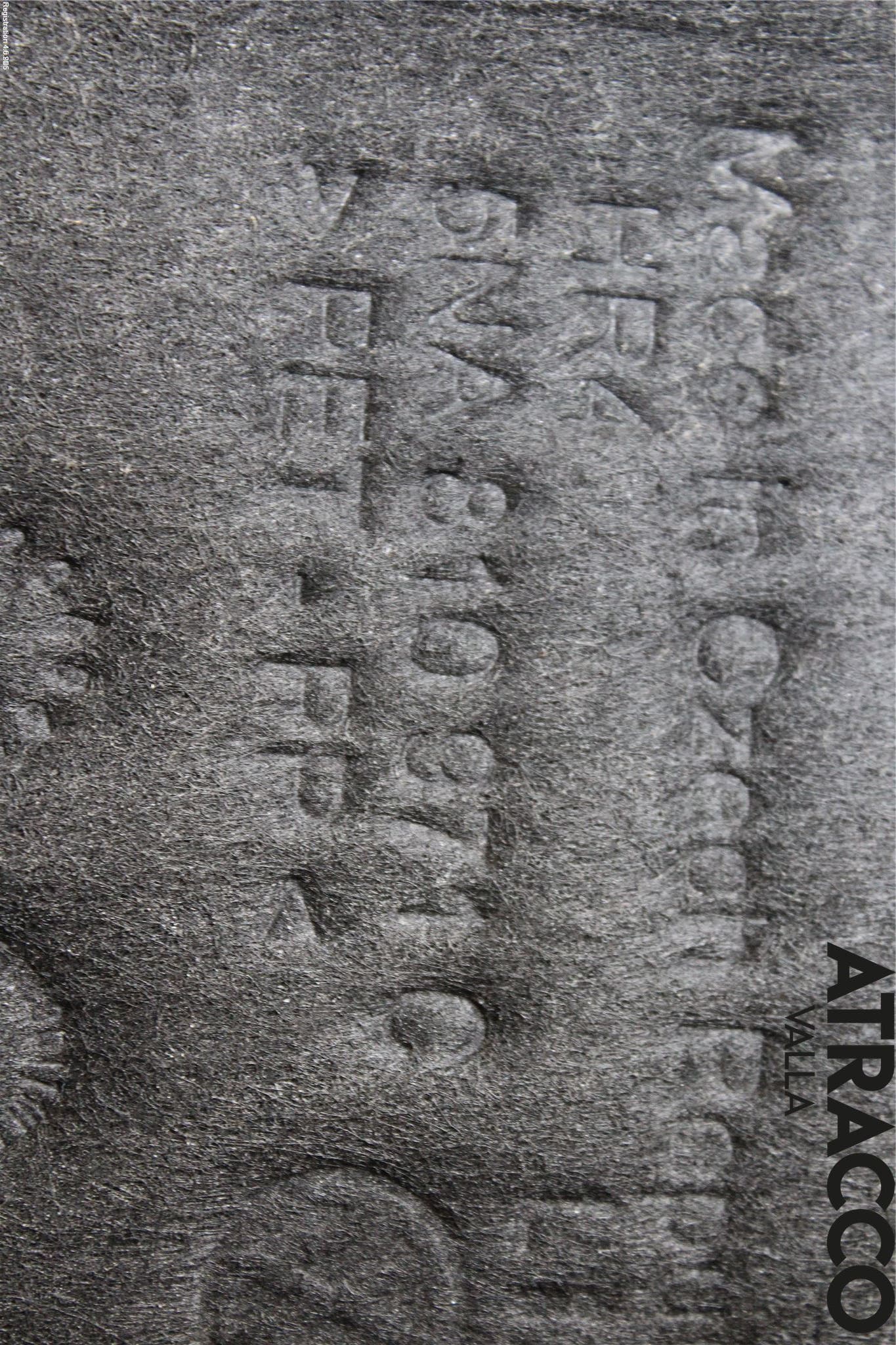 Volkswagen VW TIGUAN 16-24 Skärm Inner