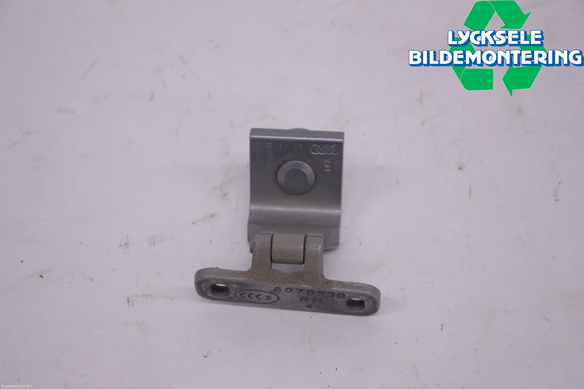 Audi E-TRON, S GE 19- Bakluckegångjärn Vä