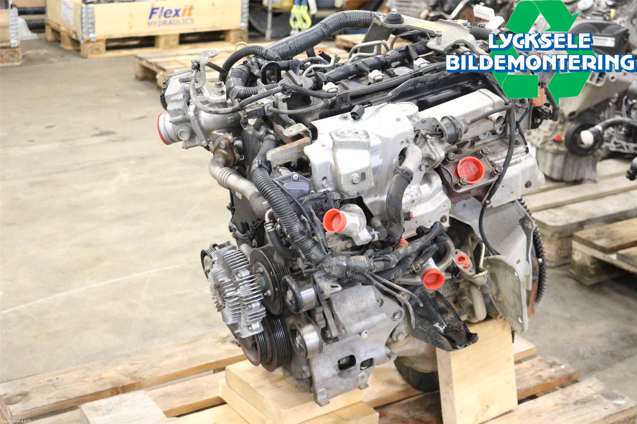 Nissan NAVARA 05-16 Motor Diesel