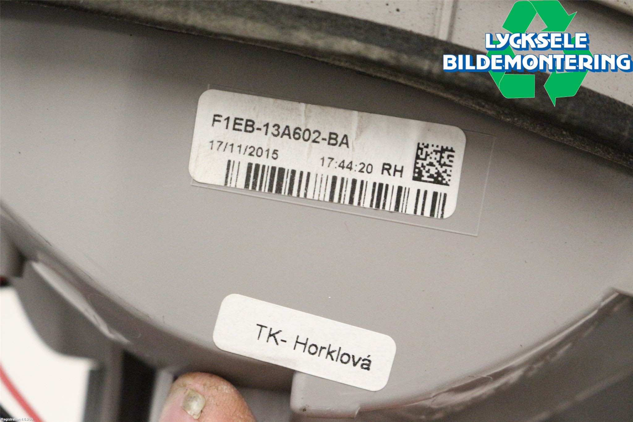 Ford FOCUS 15-18 Bakljus Lucka Hö