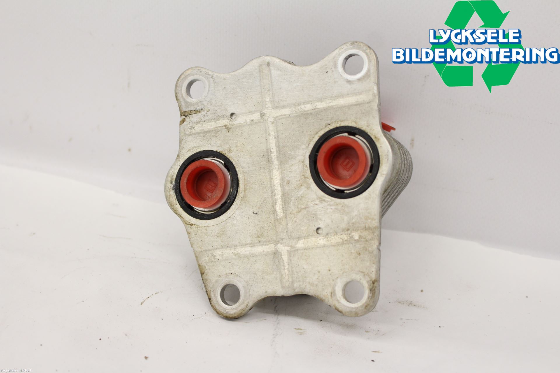 Toyota RAV4 19- Oljekylare Motor