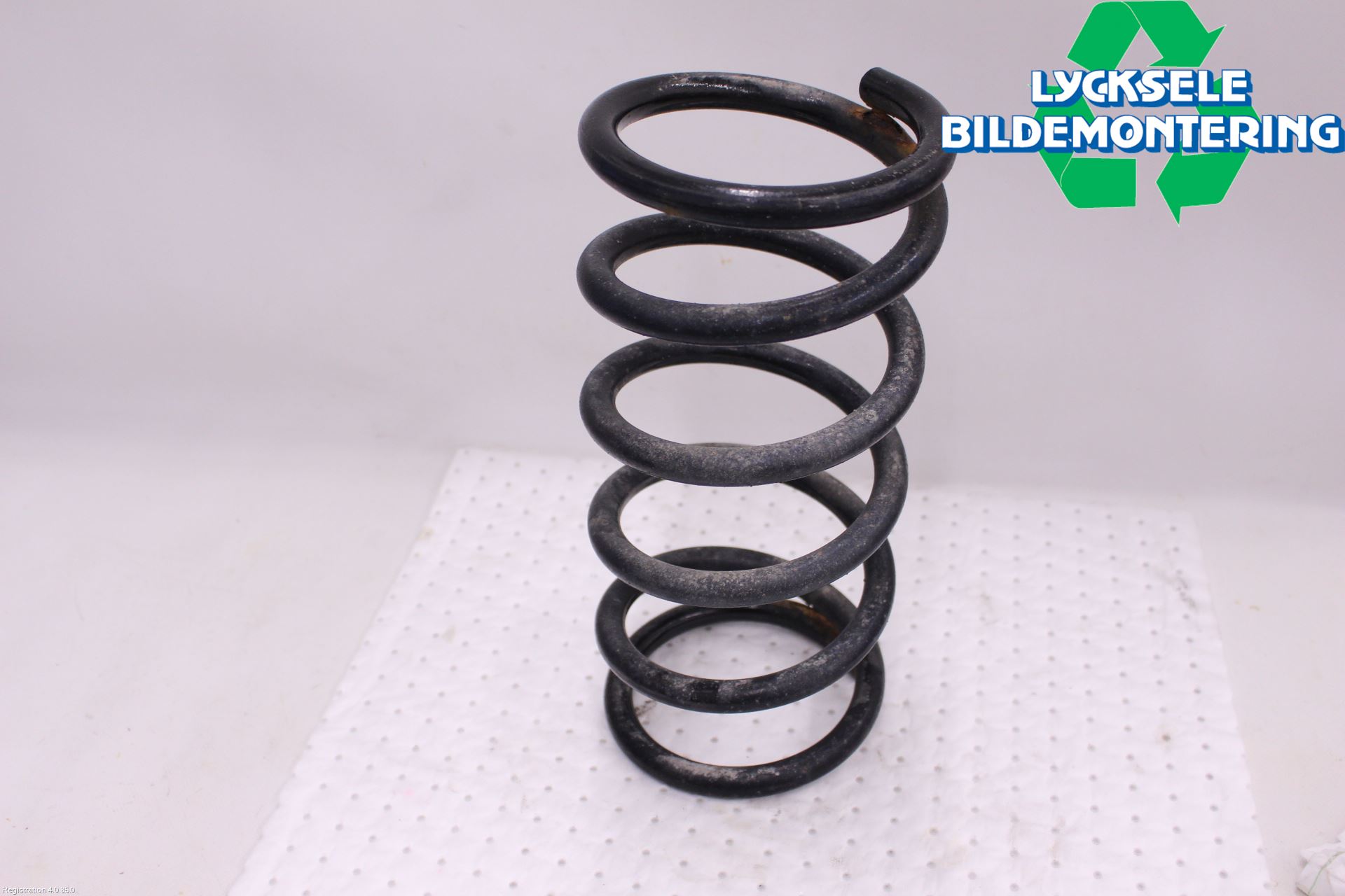 Lexus RX AL20 16-22 Fjäder Bak