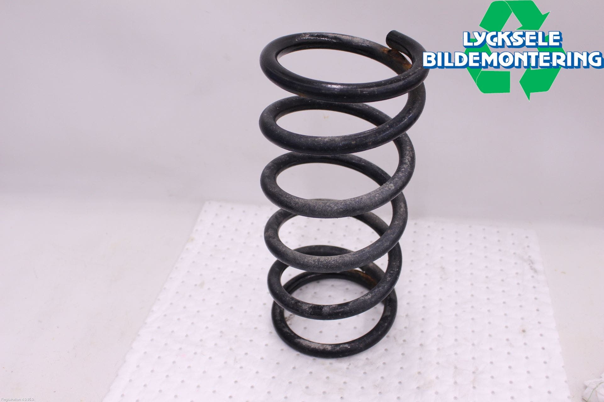 Lexus RX AL20 16-22 Fjäder Bak