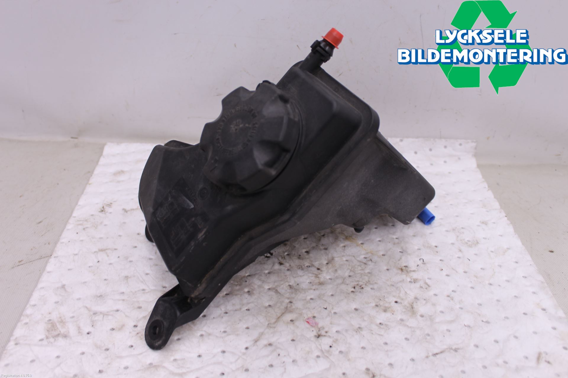 BMW X1 E84 10-15 Expansionstank