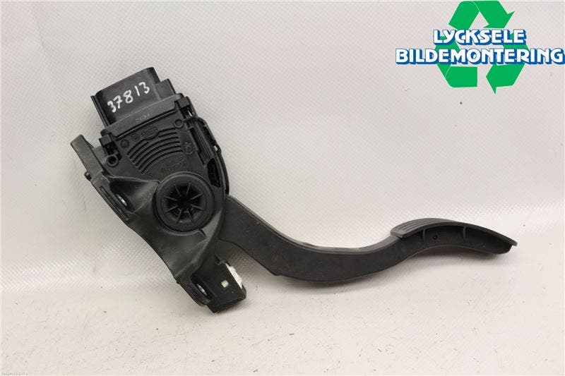 Volvo V70 14-16 Gasreglage