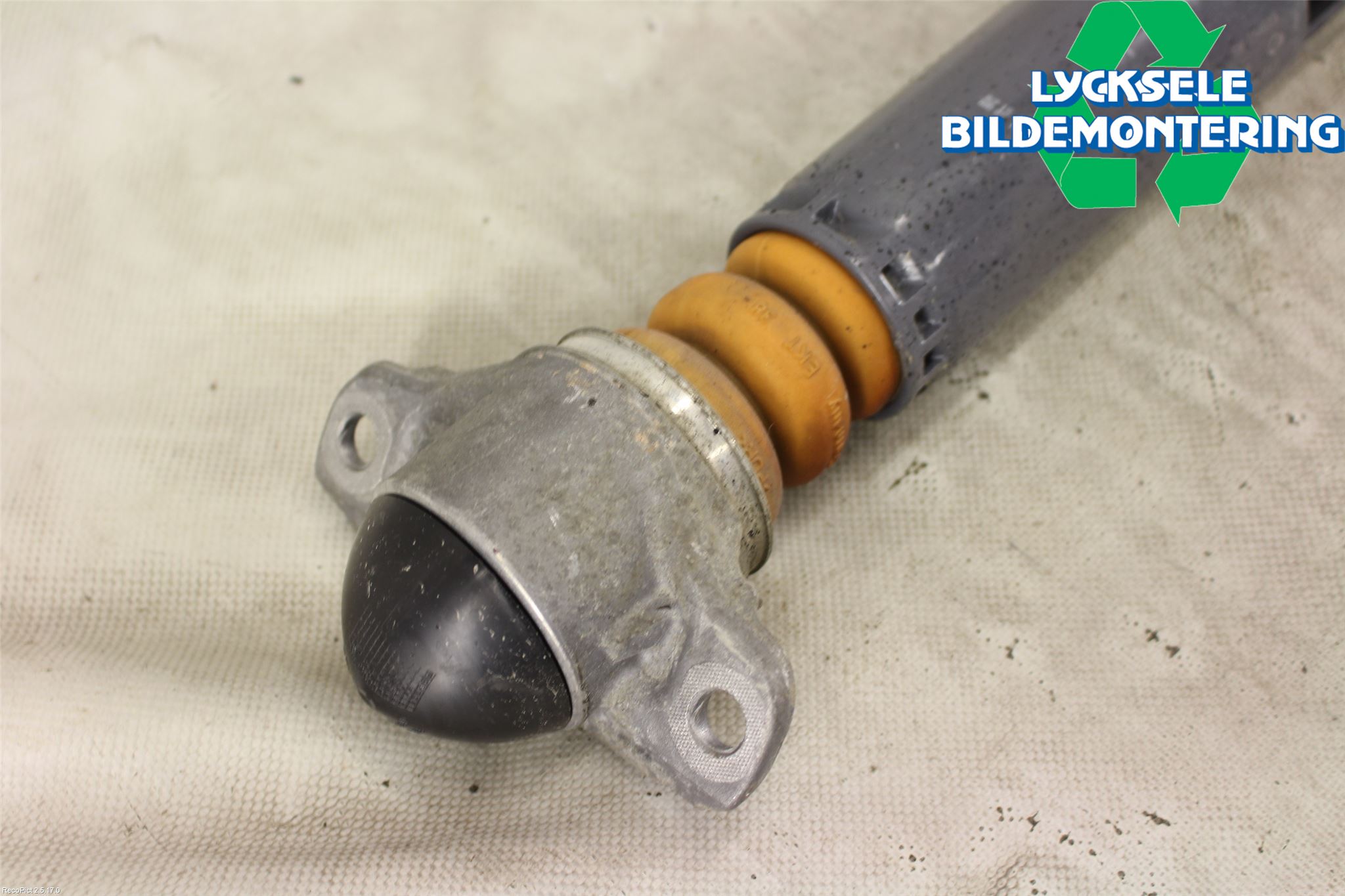 Audi A3/S3 8V 13-20 Stötdämpare Bak