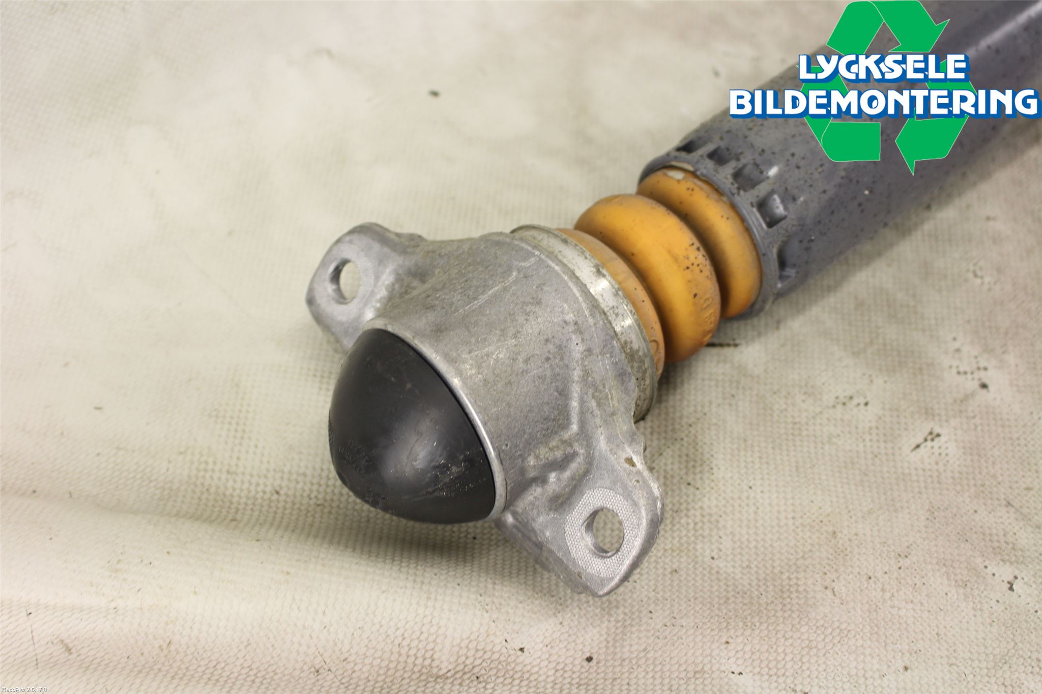 Audi A3/S3 8V 13-20 Stötdämpare Bak