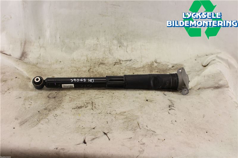 Volkswagen VW TIGUAN 16-24 Stötdämpare Bak