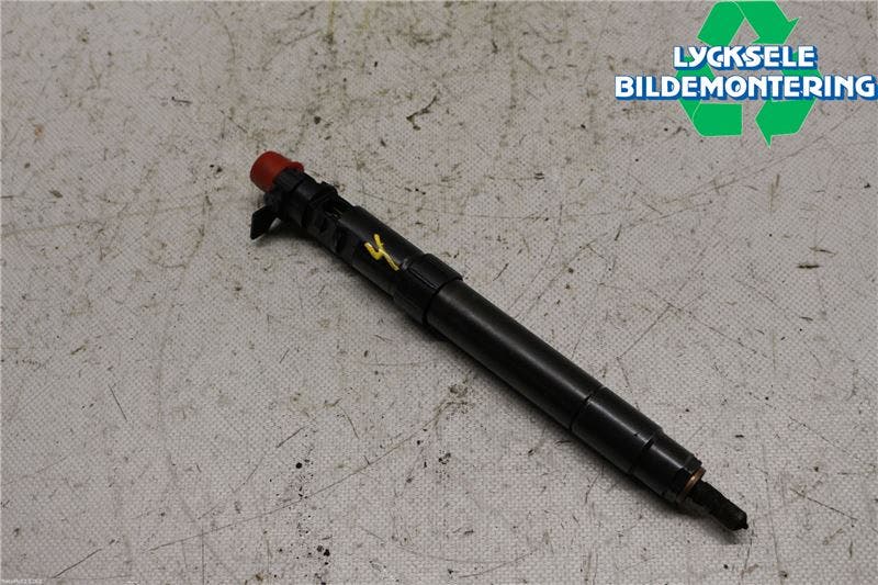 Citroen C4 PICASSO 06-13 Injspridare