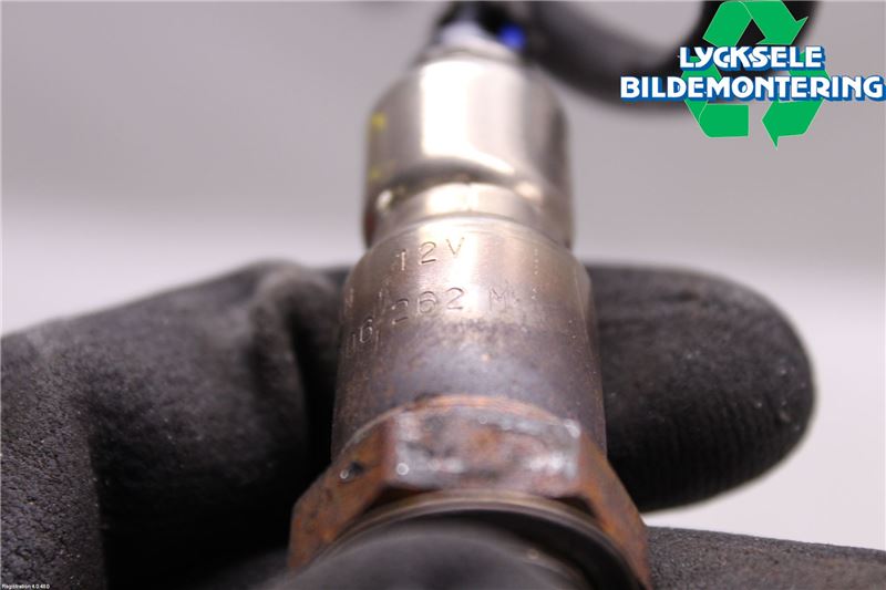 Volkswagen VW TIGUAN 16-24 Injlambdasond