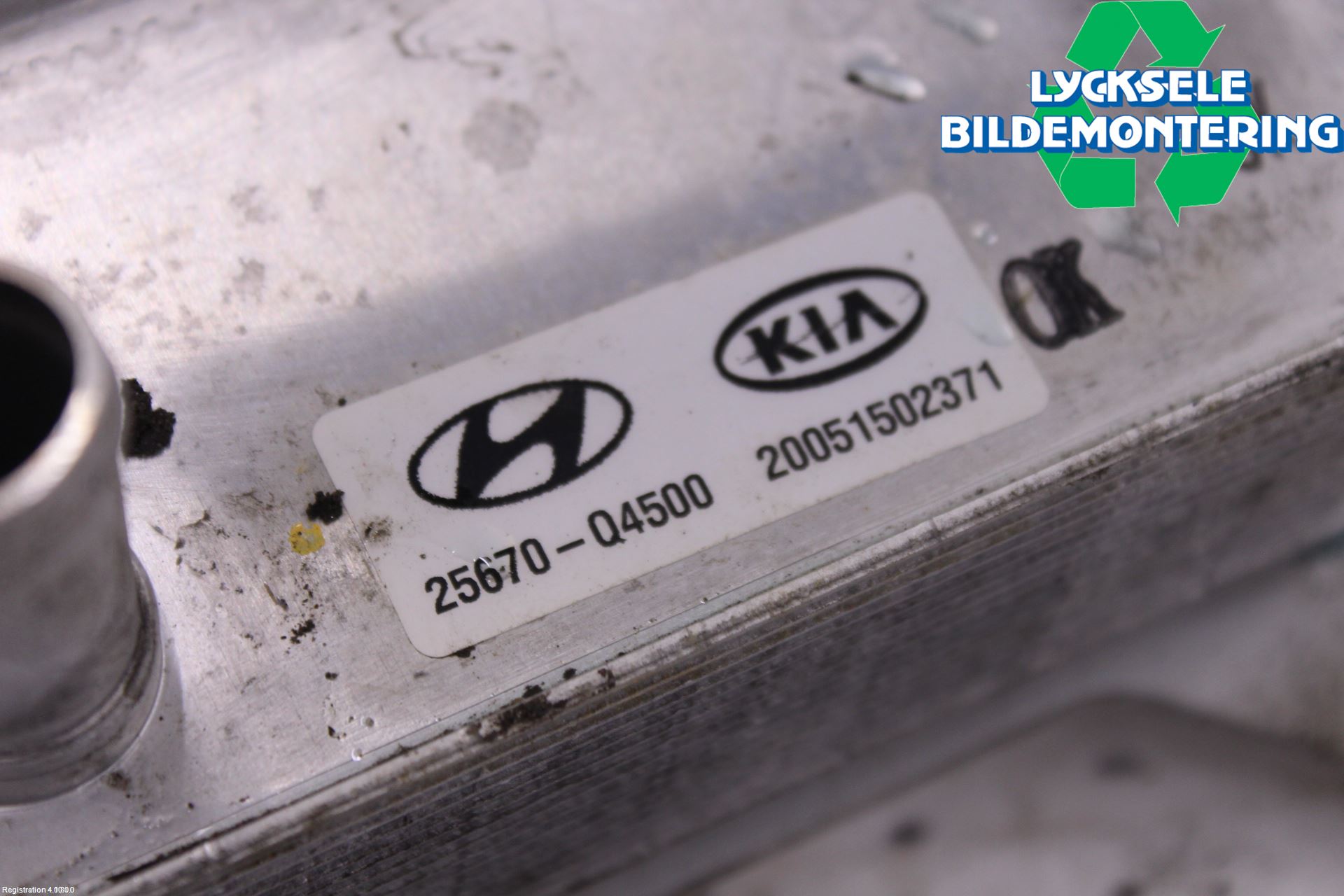 Kia NIRO (DE) 17-22 Oljekylare Automat