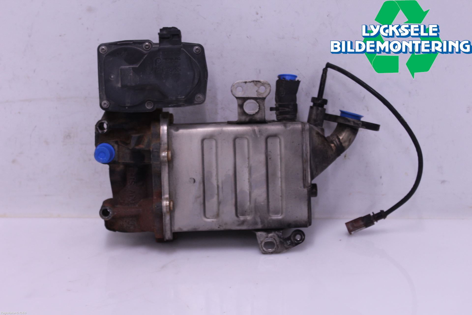 Volkswagen VW TRANSP/CARAVELLE (T6) 16-22 Avgaskylare