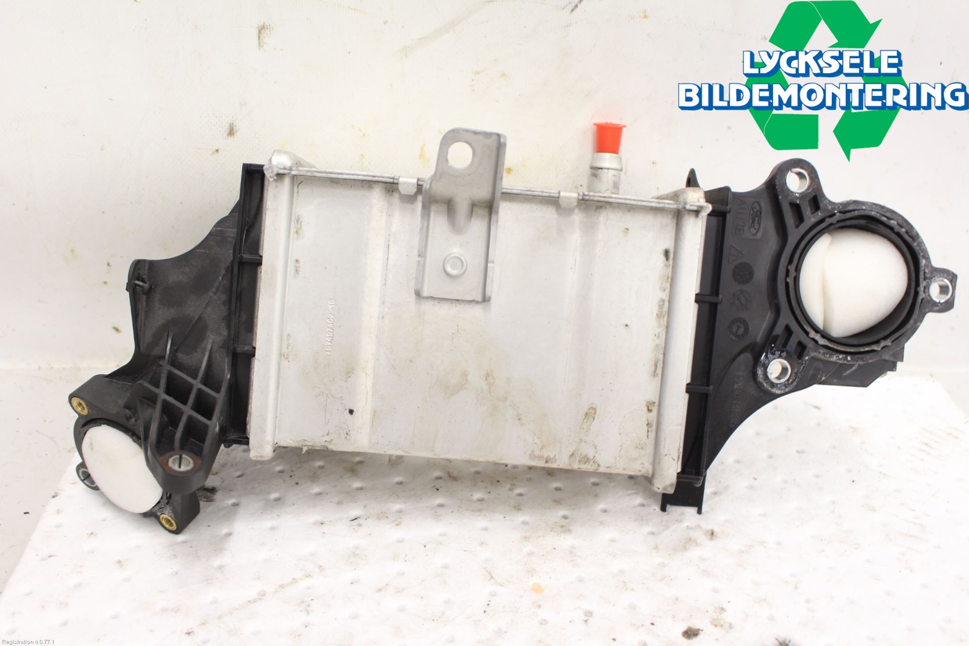 Ford FOCUS 19- Laddluft-Intercooler Kyl