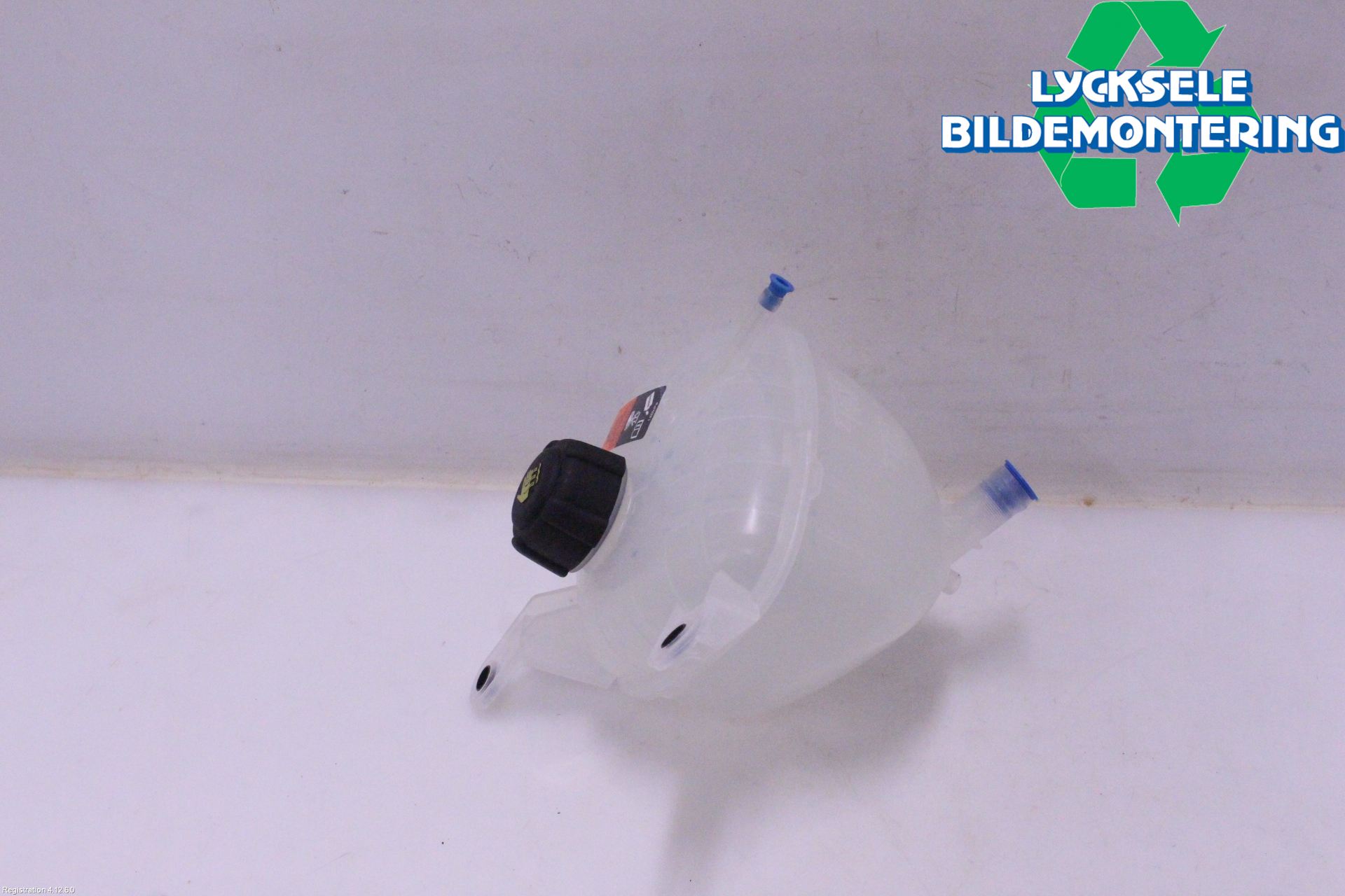 Nissan QASHQAI 21- Expansionstank