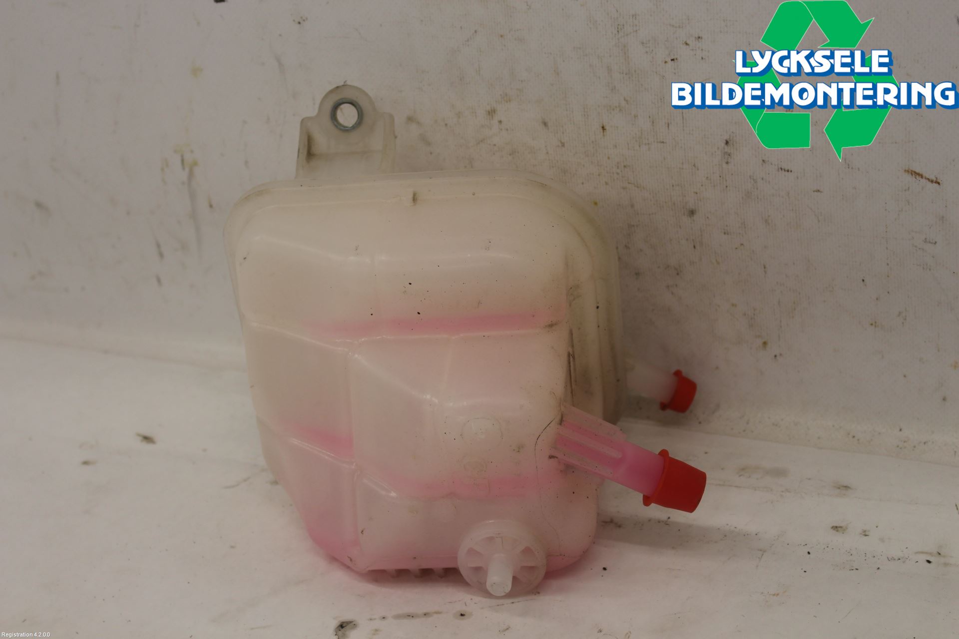 Toyota C-HR 16-23 Expansionstank