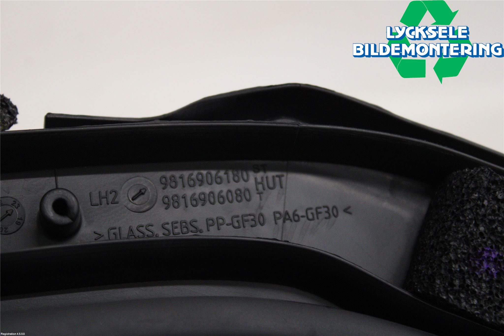 Citroen C5 AIRCROSS 19- Dörruta Bak Lilla Vä