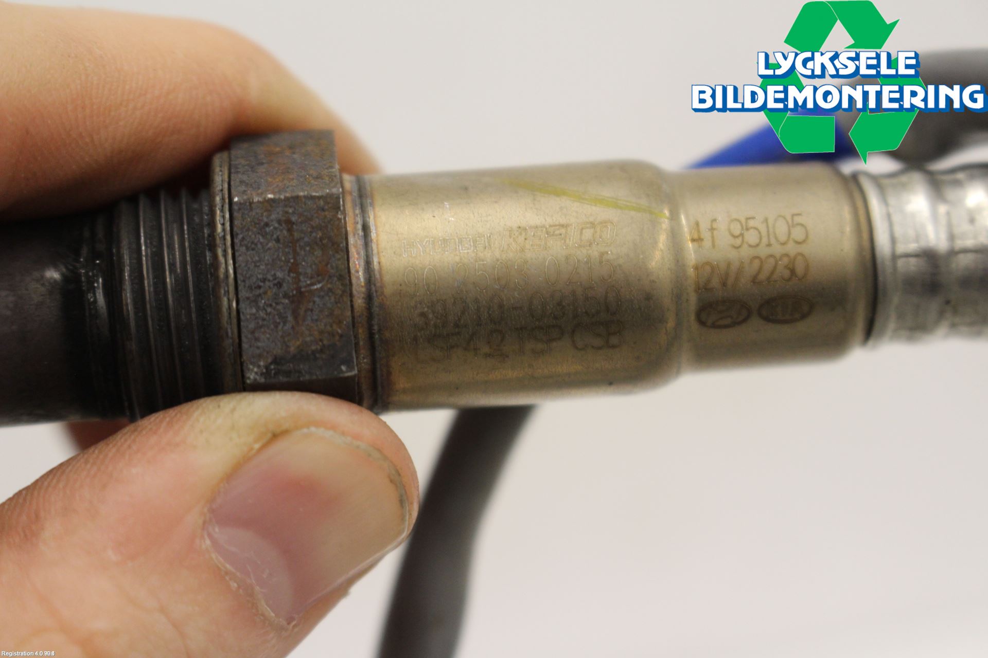 Kia CEED/CEED SW 19- Injlambdasond