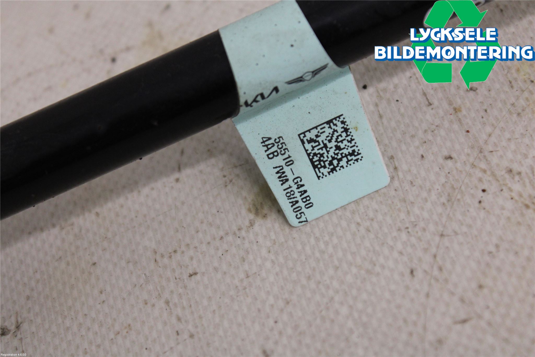 Kia NIRO (DE) 17-22 Krängningshämmare Bak