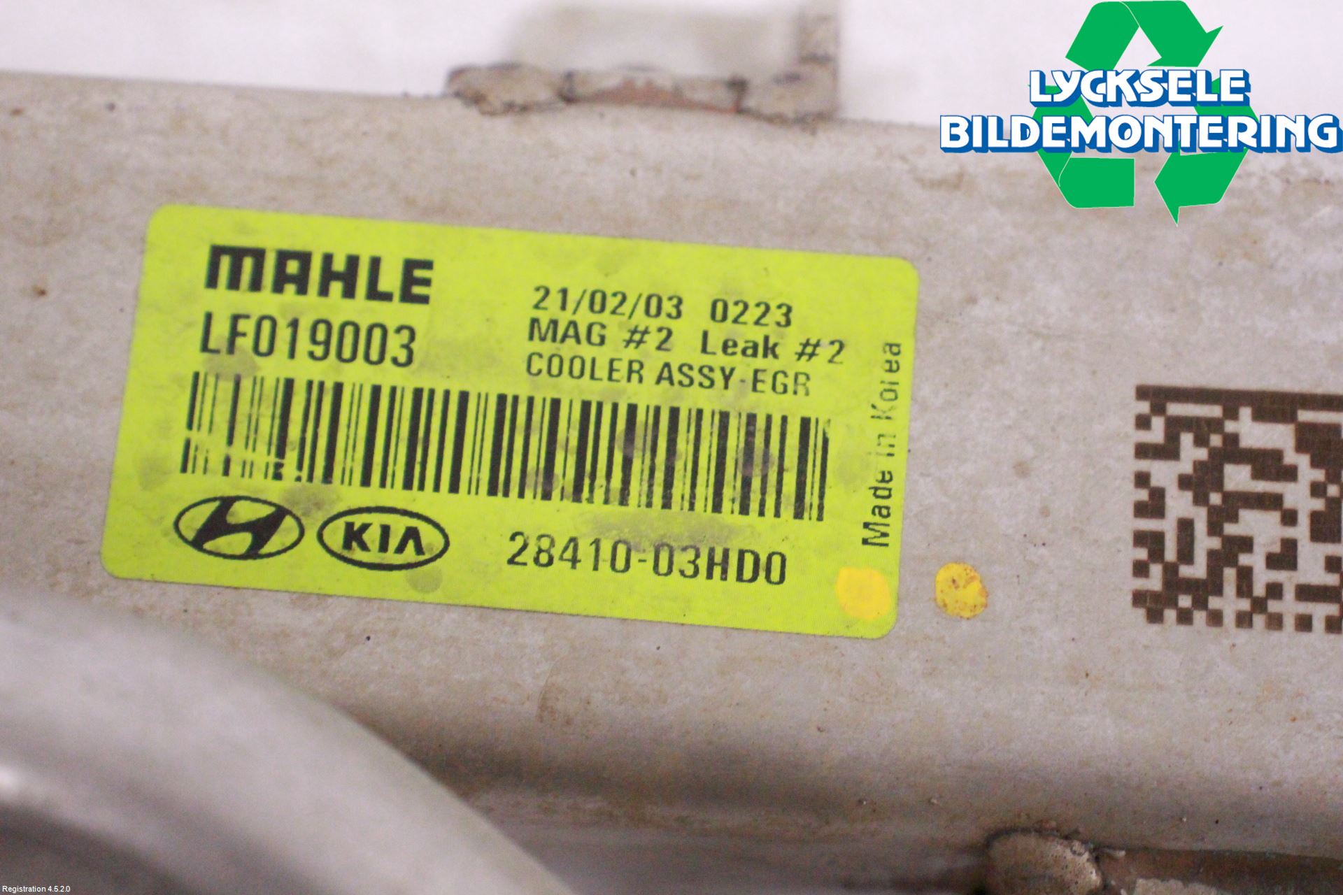 Kia CEED/CEED SW 19- Avgaskylare