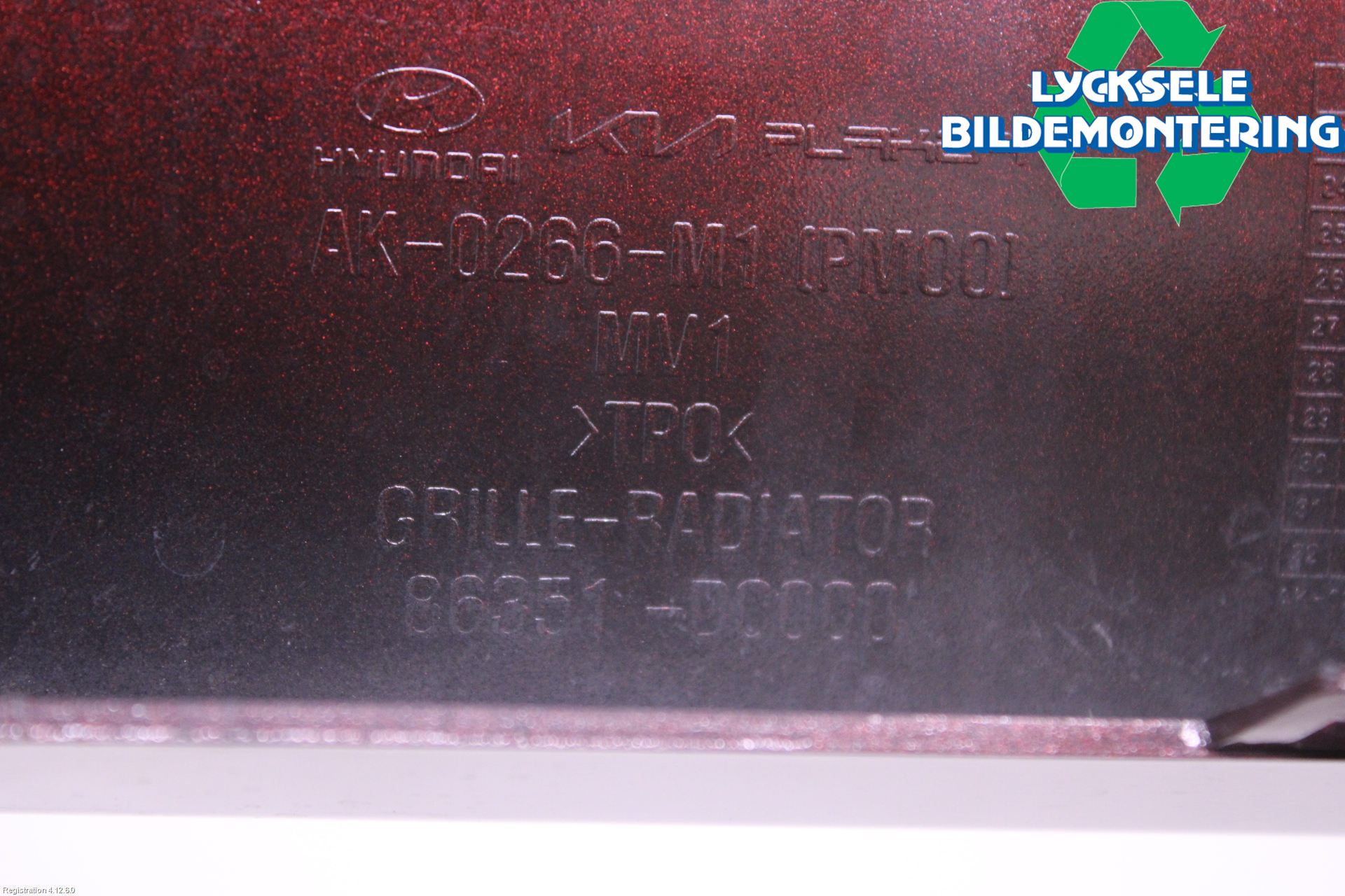 Kia EV9 24- Grill Komp