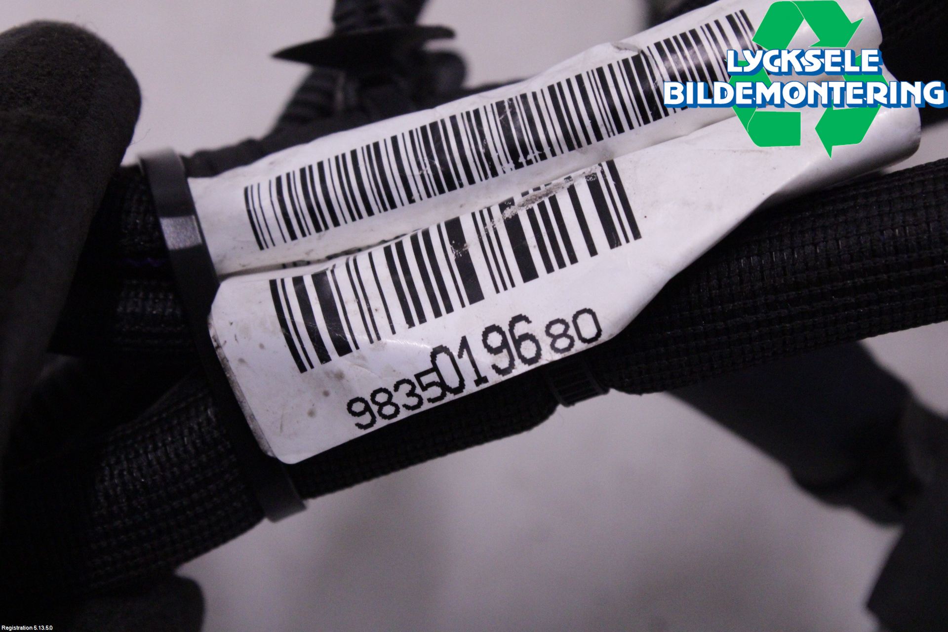 Peugeot 3008 17-24 Batterikabel
