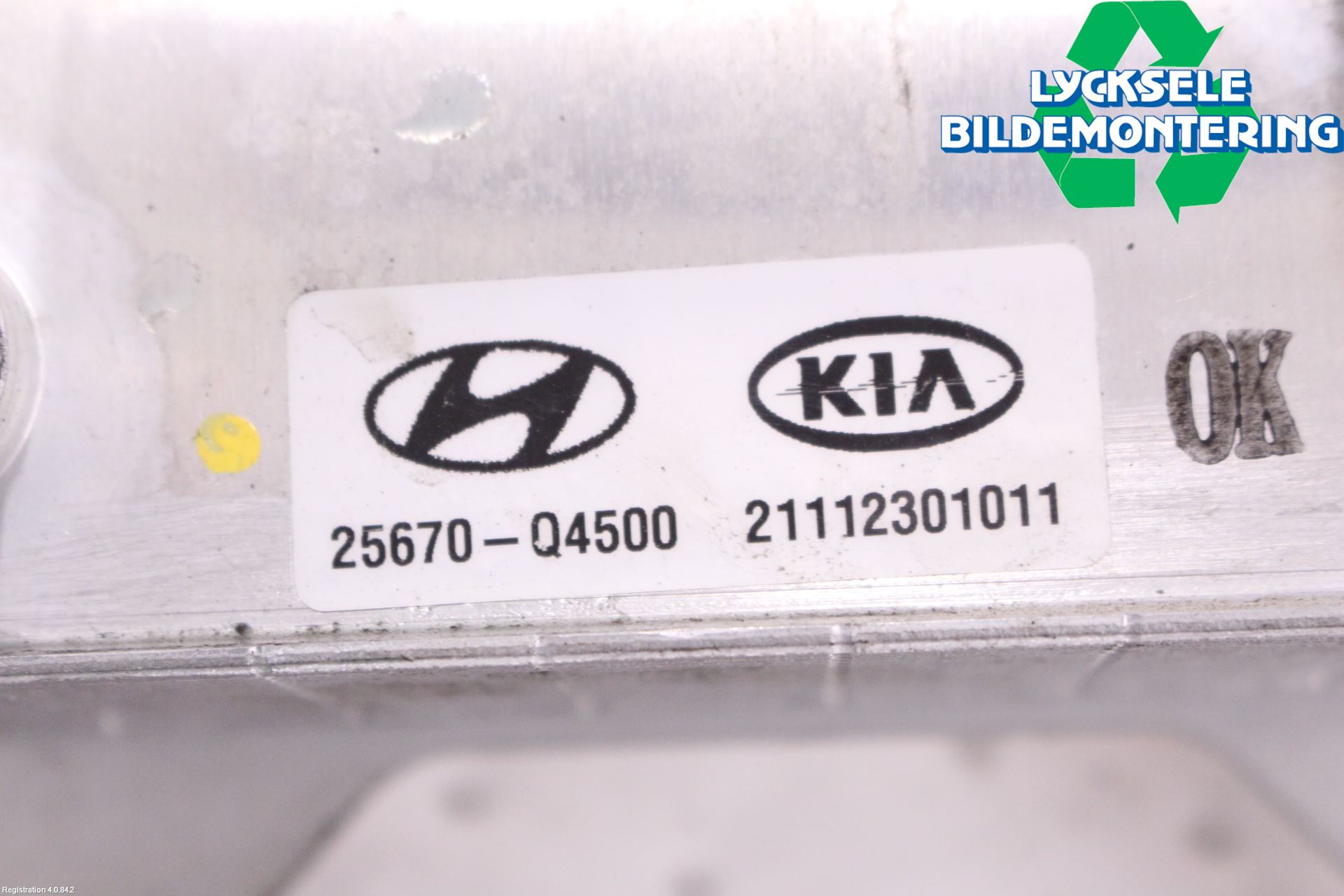 Kia NIRO (DE) 17-22 Oljekylare Automat