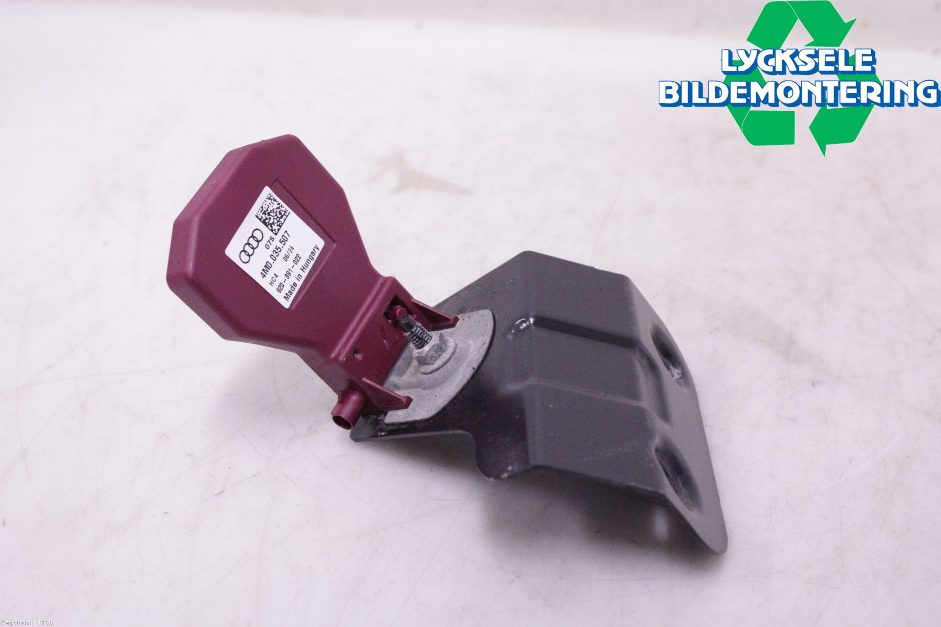 Cupra FORMENTOR 21- Antenn