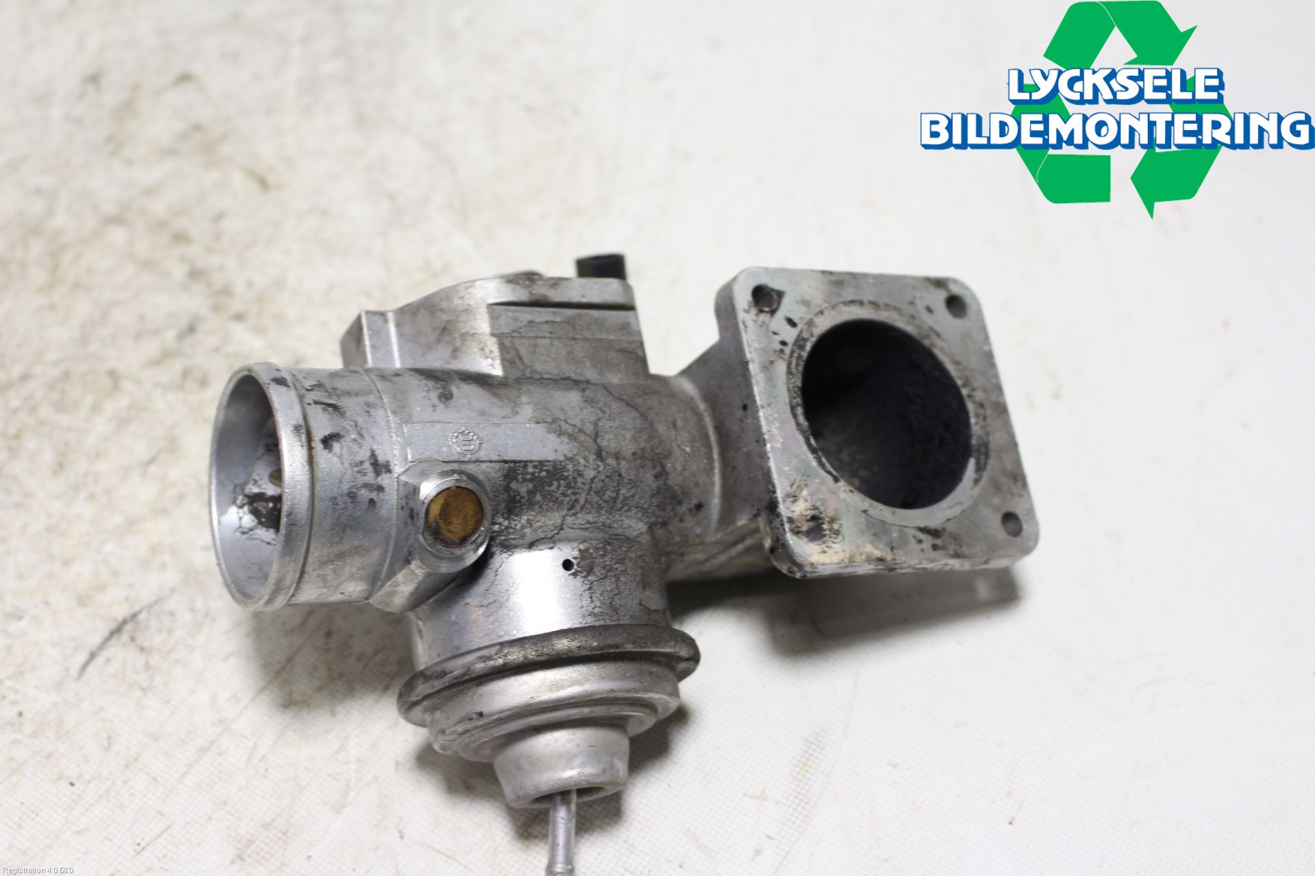 Volkswagen VW TRANSP/CARAVELLE (T4) 91-03 Egr Ventil