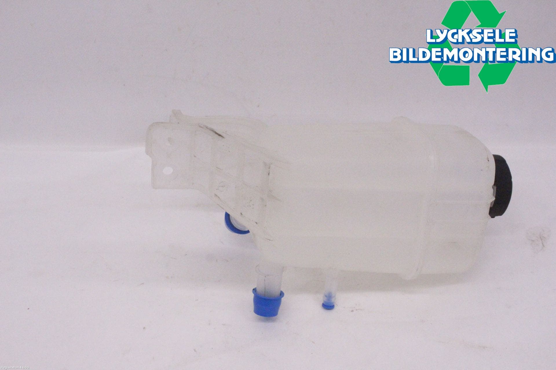 Kia NIRO (DE) 17-22 Expansionstank