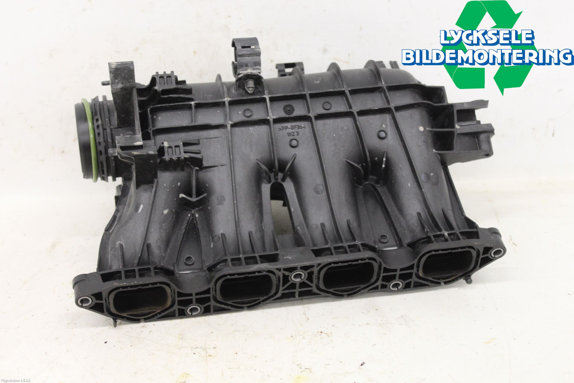 Volkswagen VW GOLF / E-GOLF VIII 20- Grenrör Insug