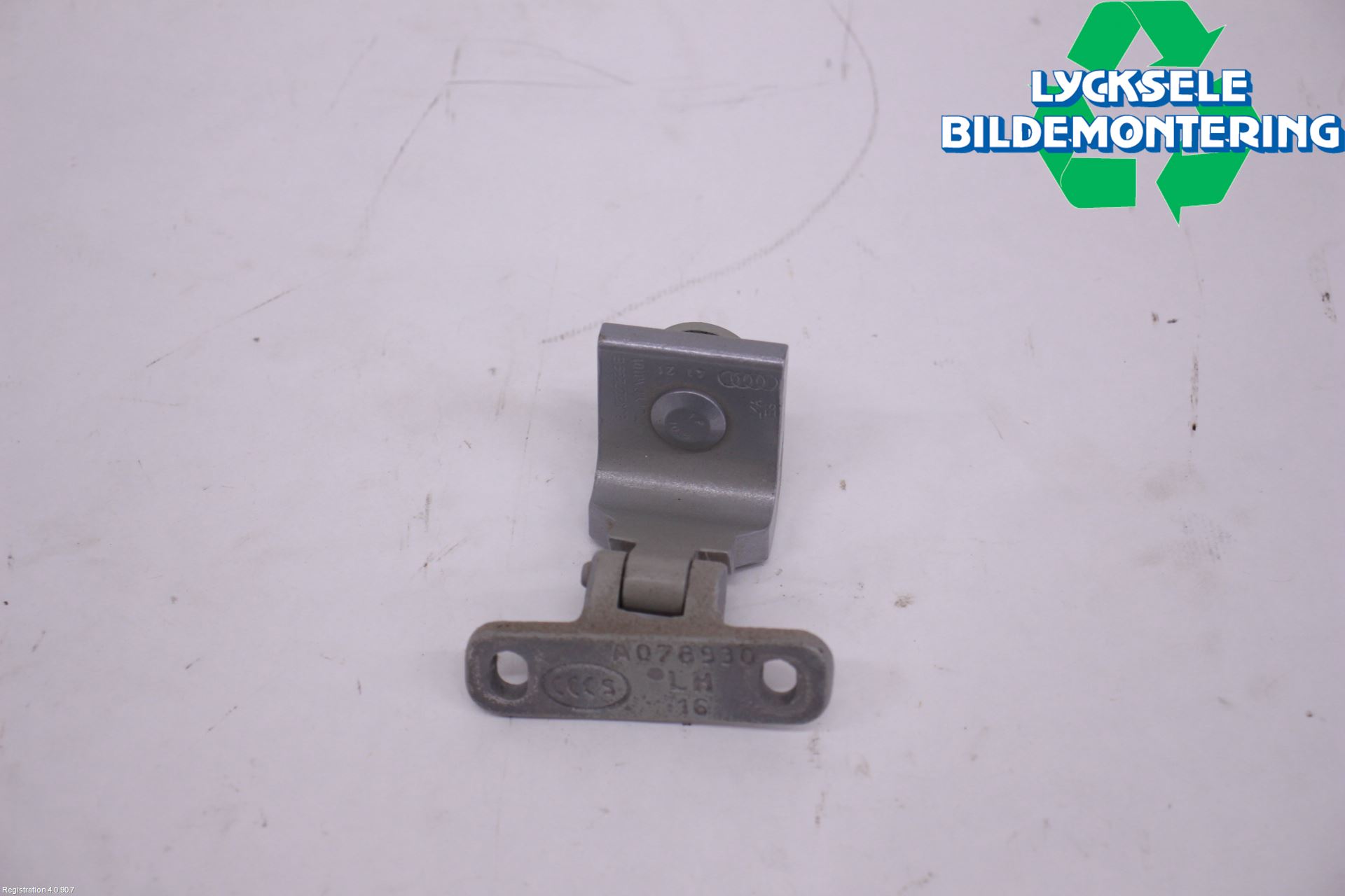 Audi E-TRON, S GE 19- Bakluckegångjärn Vä