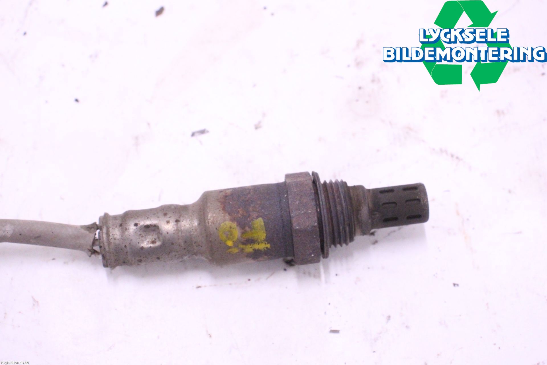 Dodge PICK UP RAM 81- Injlambdasond