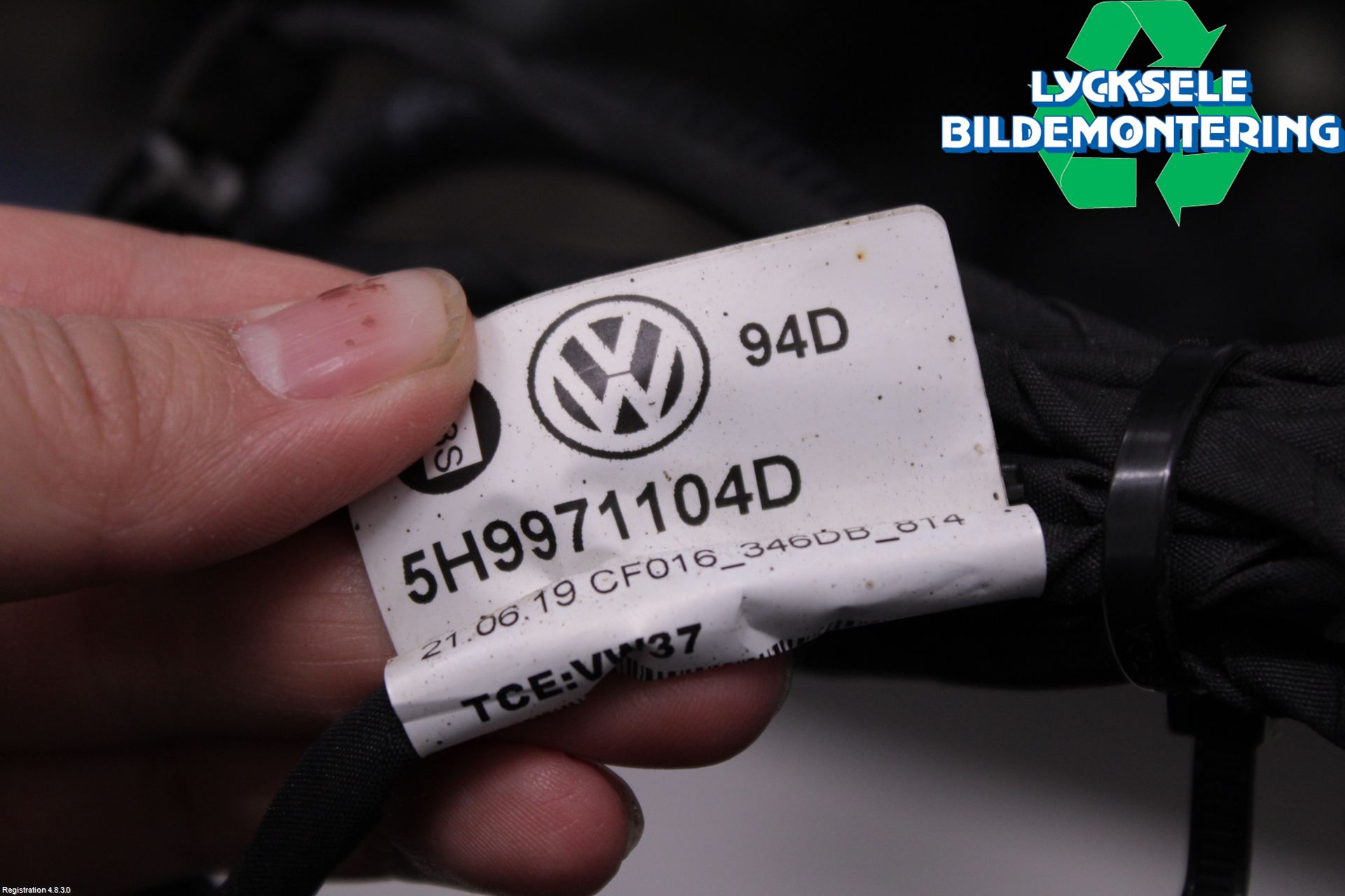 Volkswagen VW GOLF / E-GOLF VIII 20- Kabelhärva