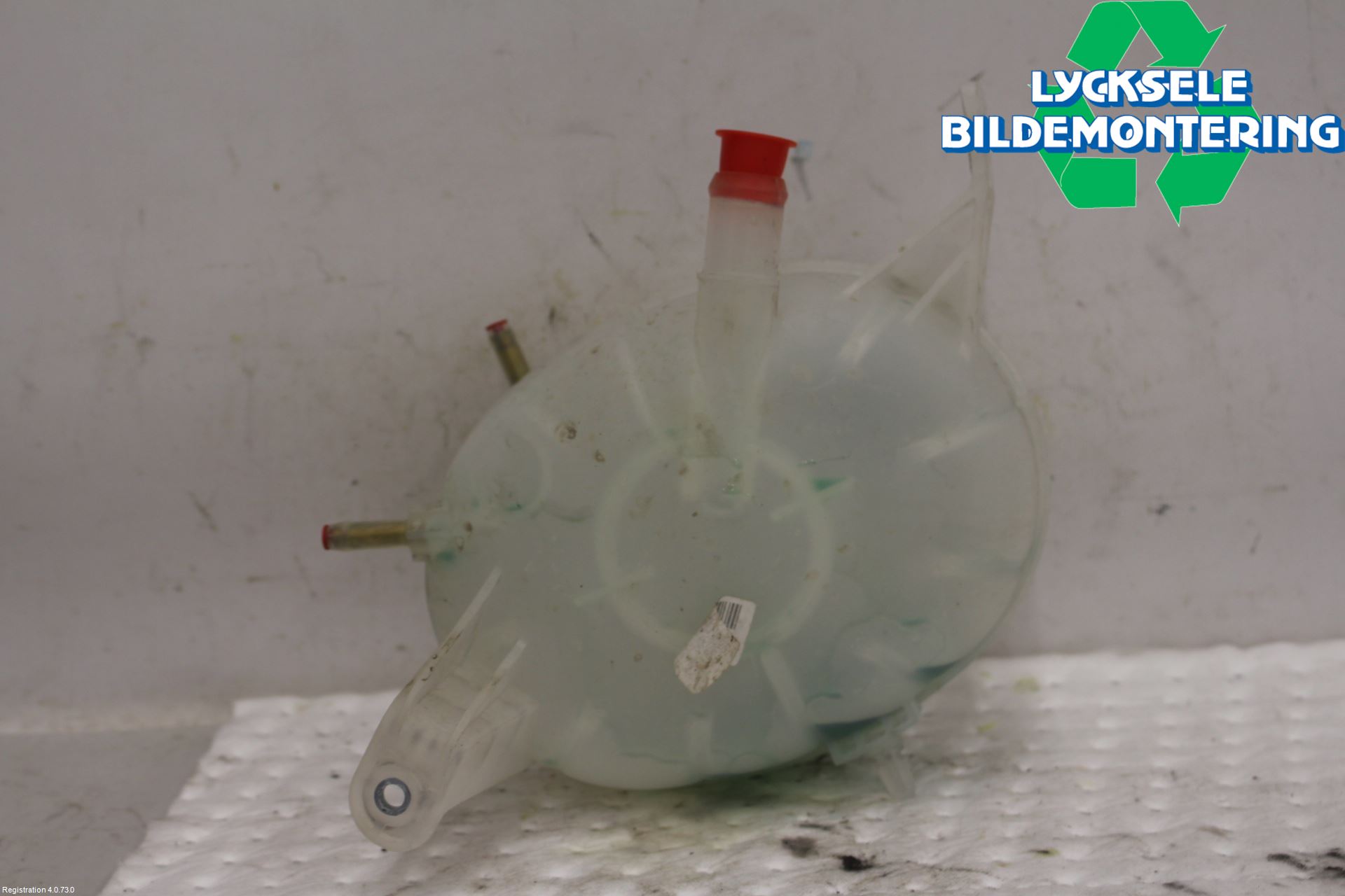 Kia NIRO (DE) 17-22 Expansionstank