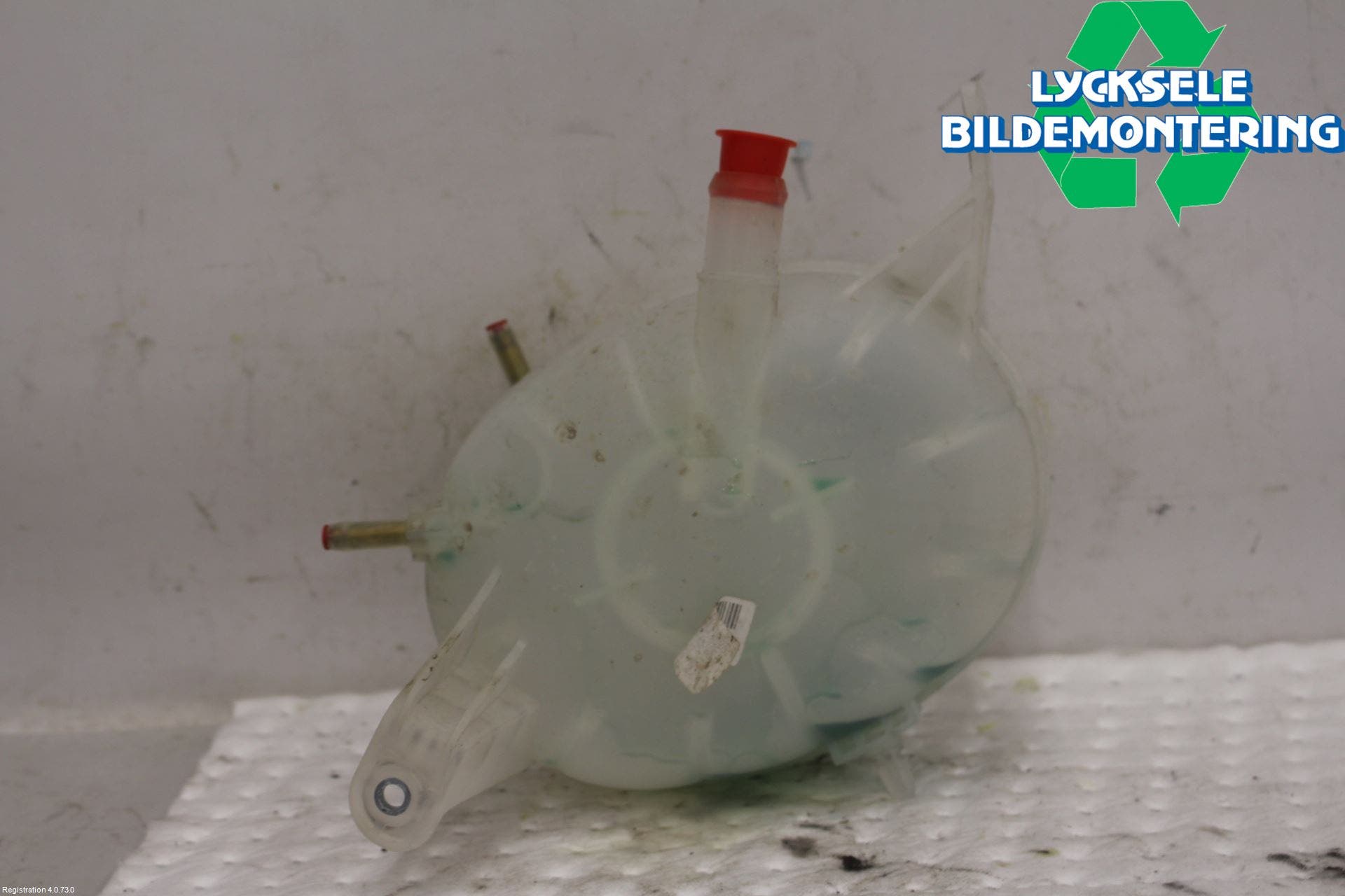 Kia NIRO (DE) 17-22 Expansionstank