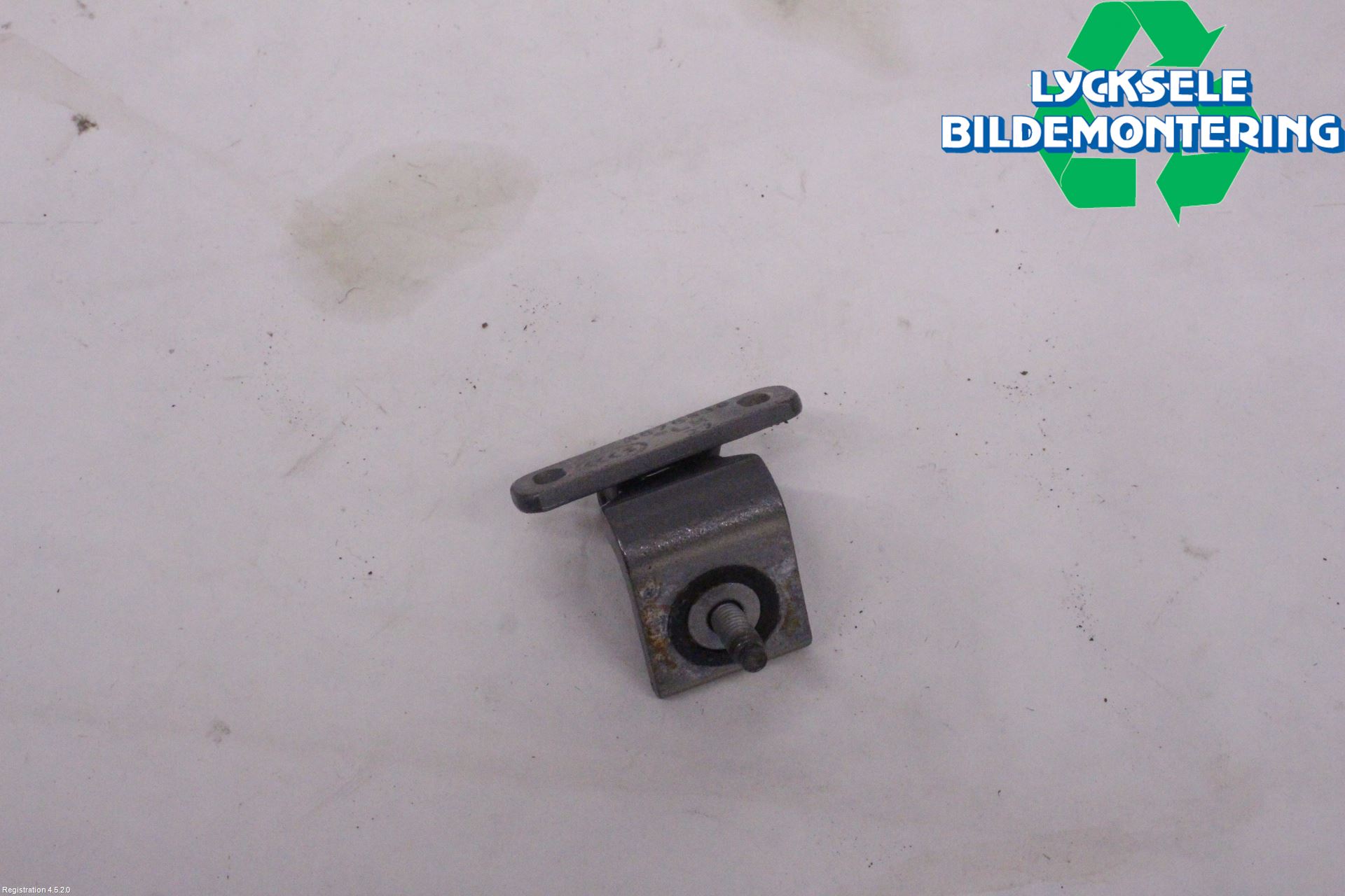 Audi E-TRON, S GE 19- Bakluckegångjärn Vä