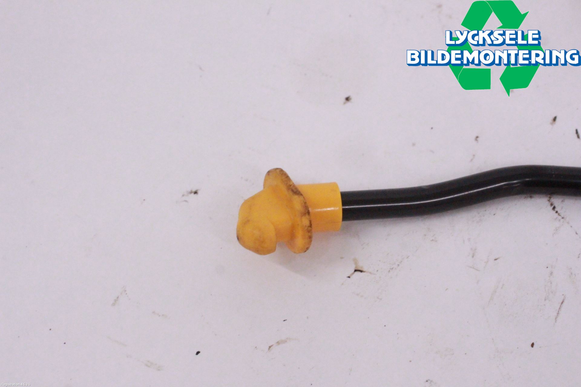 BYD ATTO 22- Huv Stag-Pinne