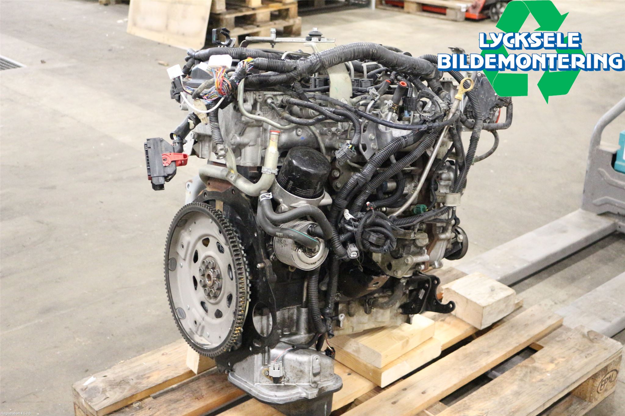 Nissan NAVARA 05-16 Motor Diesel