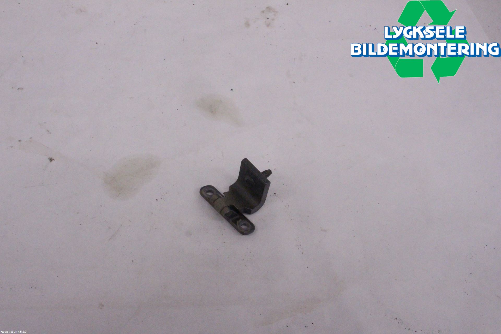 Audi E-TRON, S GE 19- Bakluckegångjärn Hö