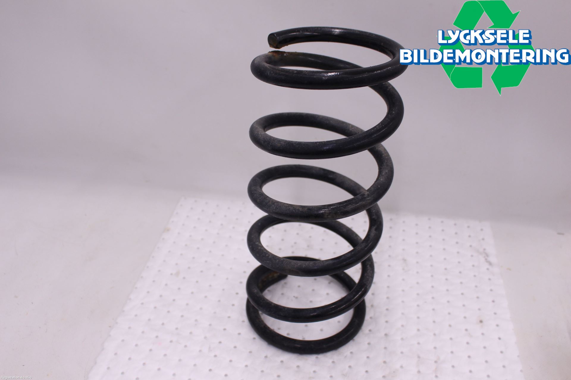 Lexus RX AL20 16-22 Fjäder Bak