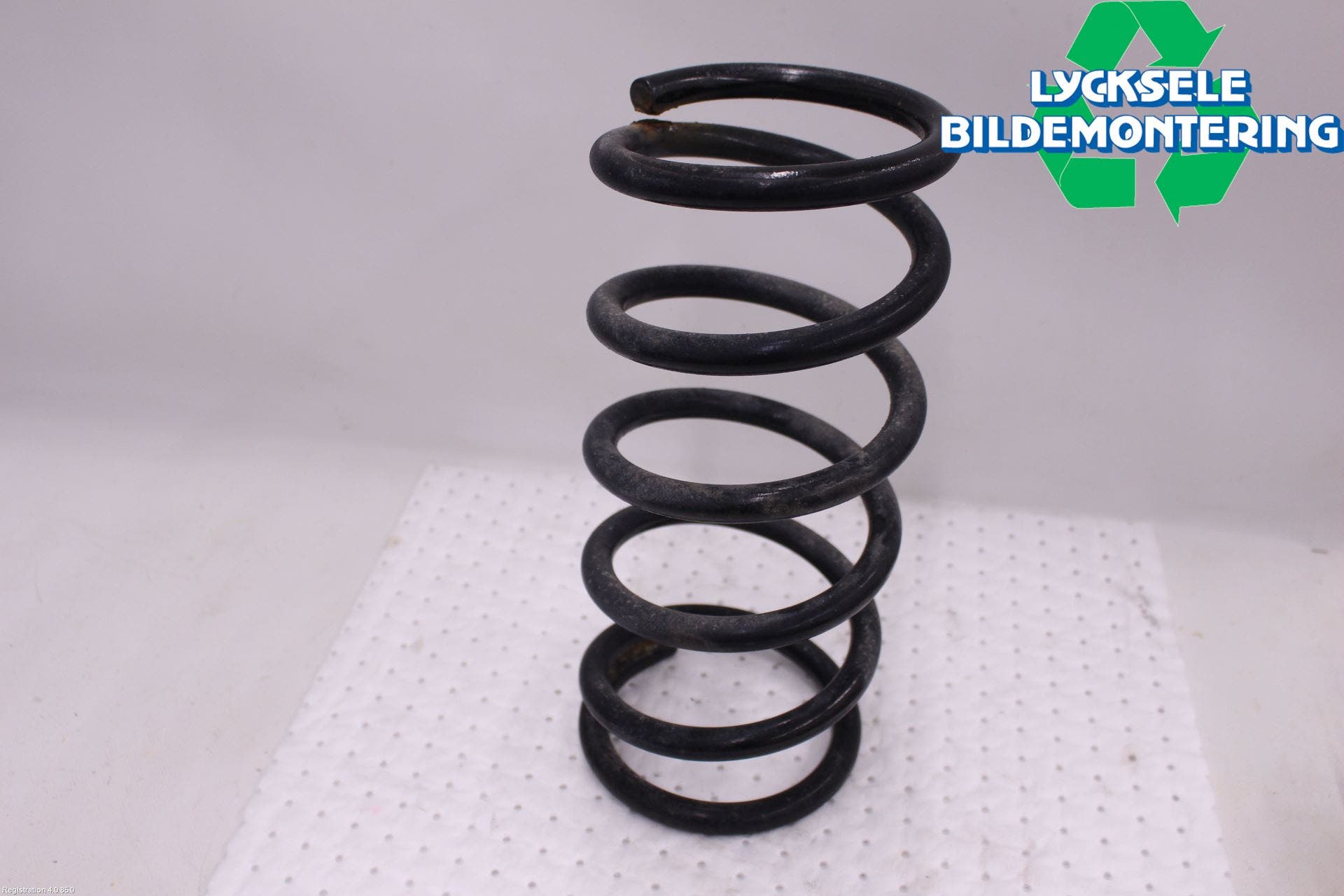 Lexus RX AL20 16-22 Fjäder Bak