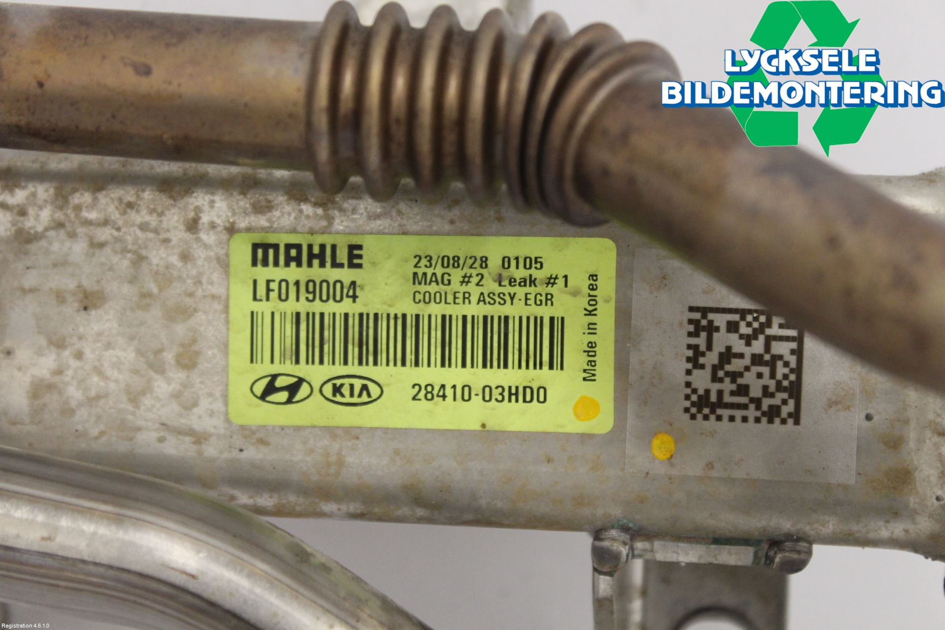 Kia CEED/CEED SW 19- Avgaskylare