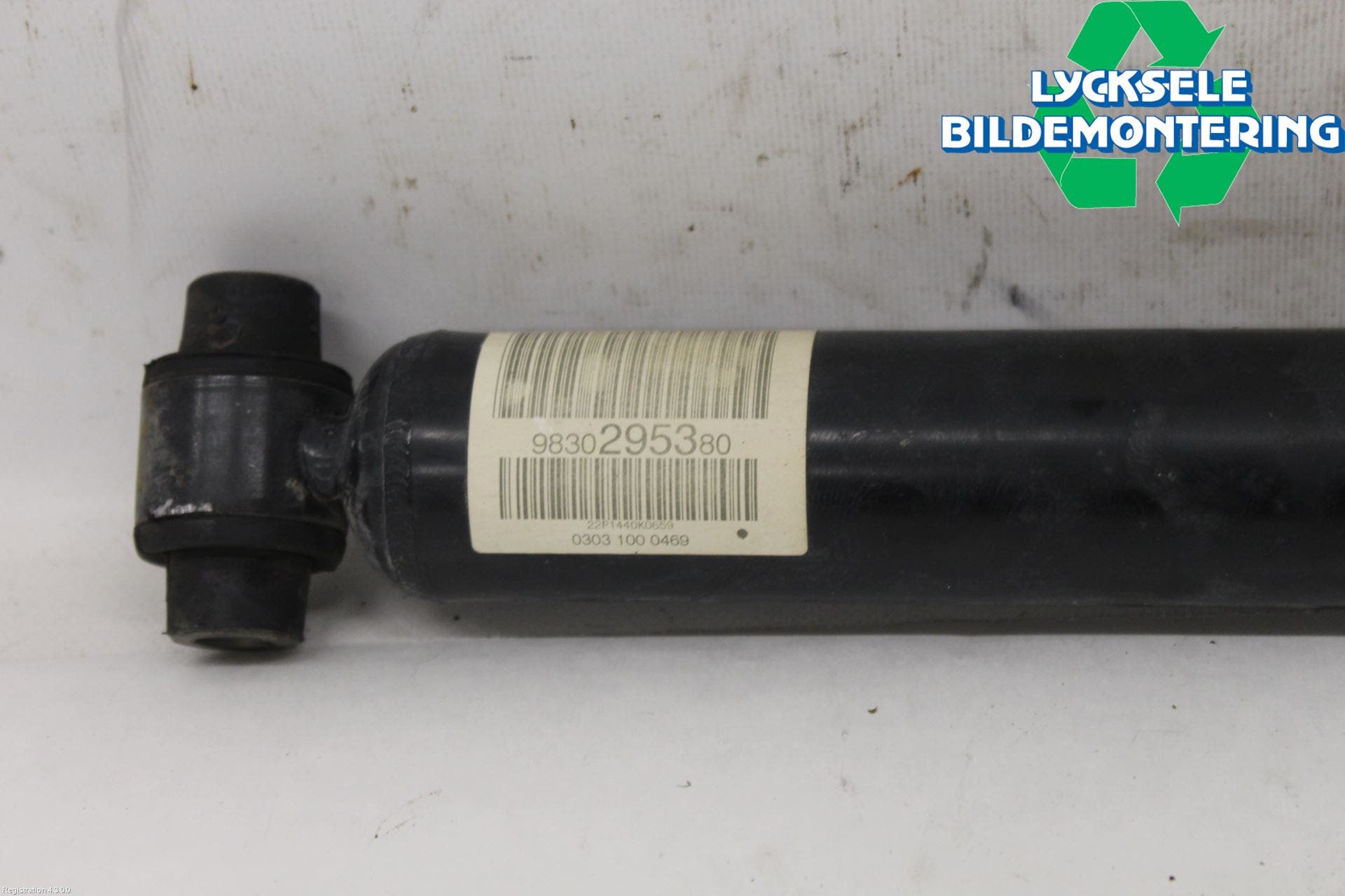 Citroen C5 AIRCROSS 19- Stötdämpare Bak