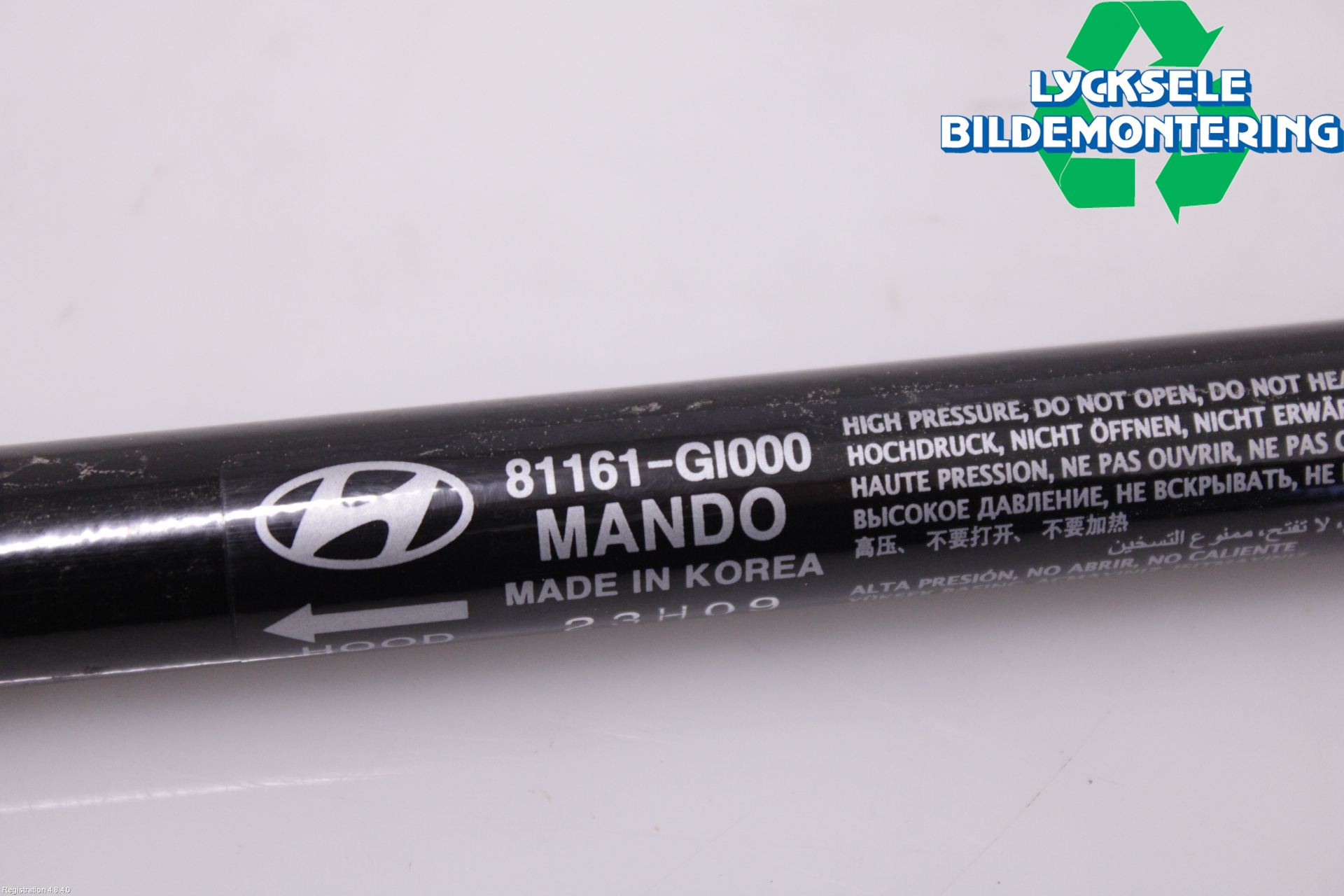 Hyundai IONIQ 5 NE 22- Gasfjäder Motorhuv