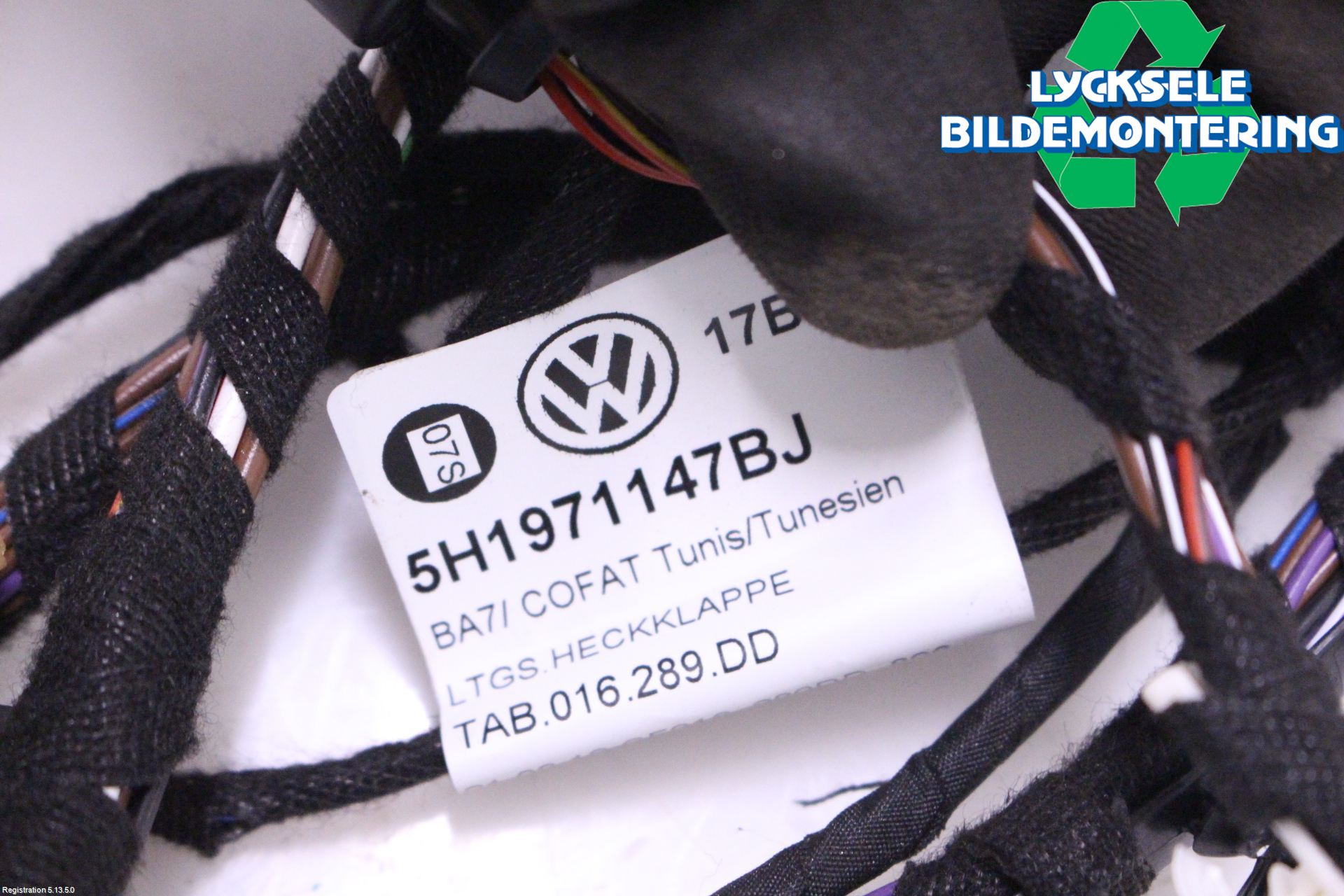 Volkswagen VW GOLF / E-GOLF VIII 20- Kabelhärva