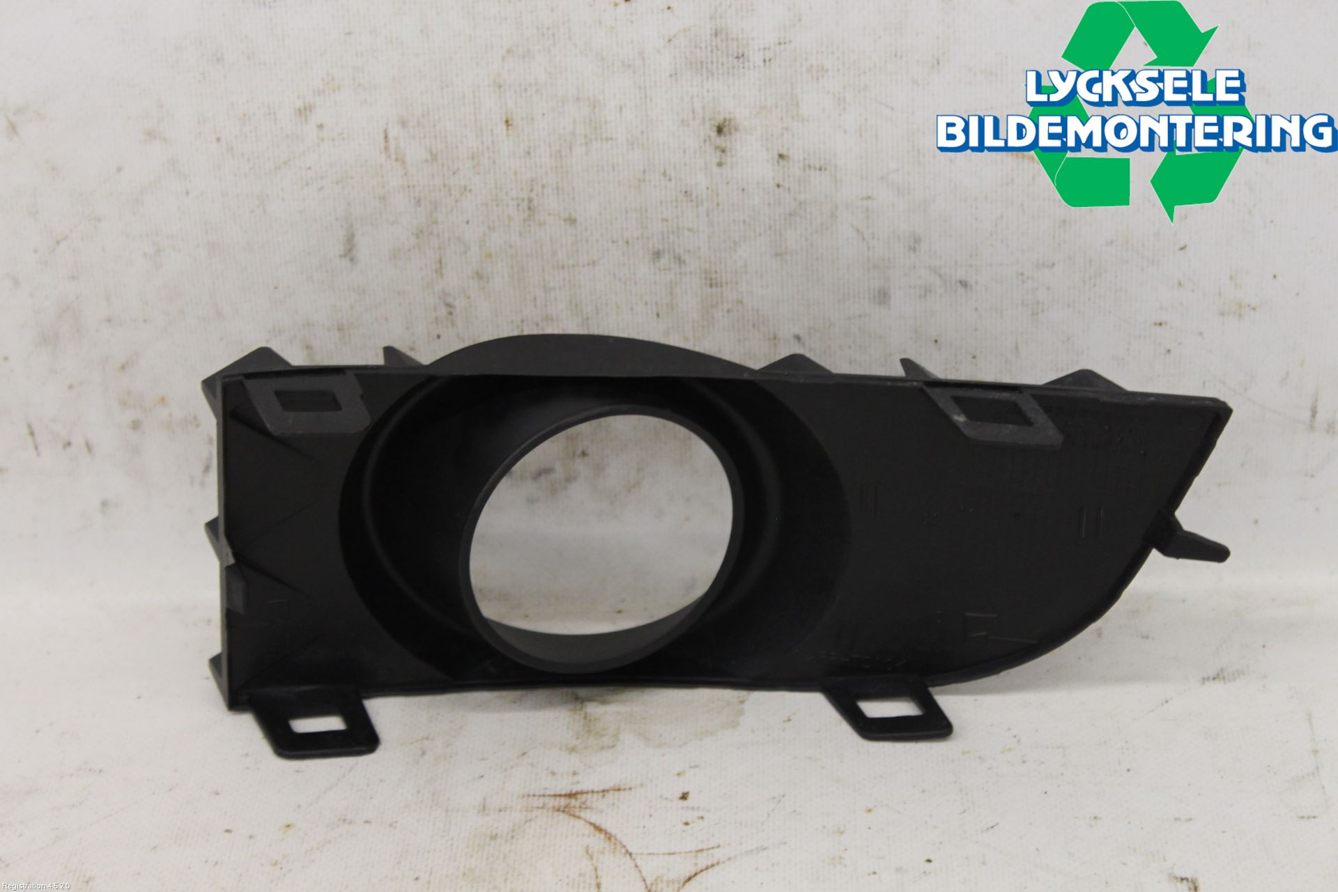 Renault LAGUNA III 08-10 Dimljussarg Fram