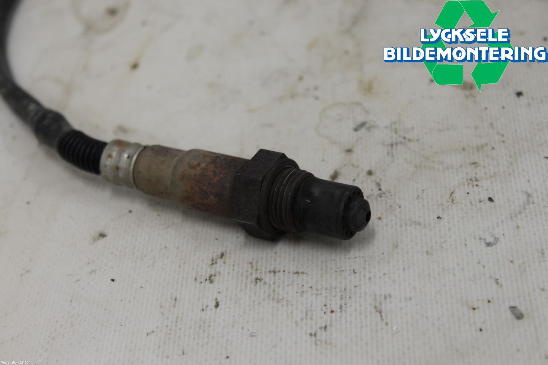 Kia CEED/CEED SW 19- Injlambdasond