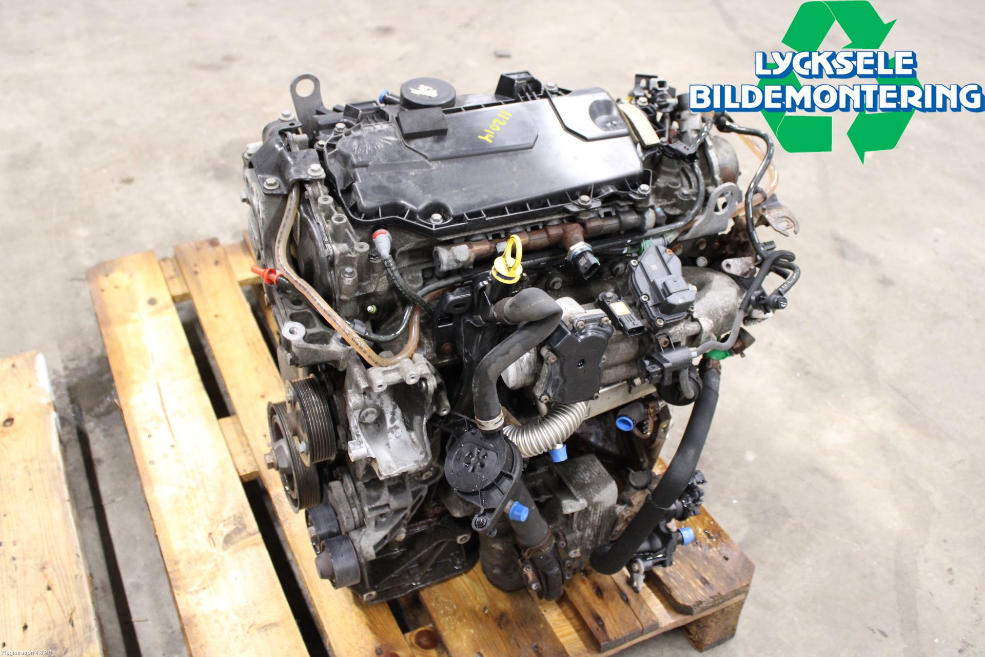 Renault TRAFIC   02-14 Motor Diesel