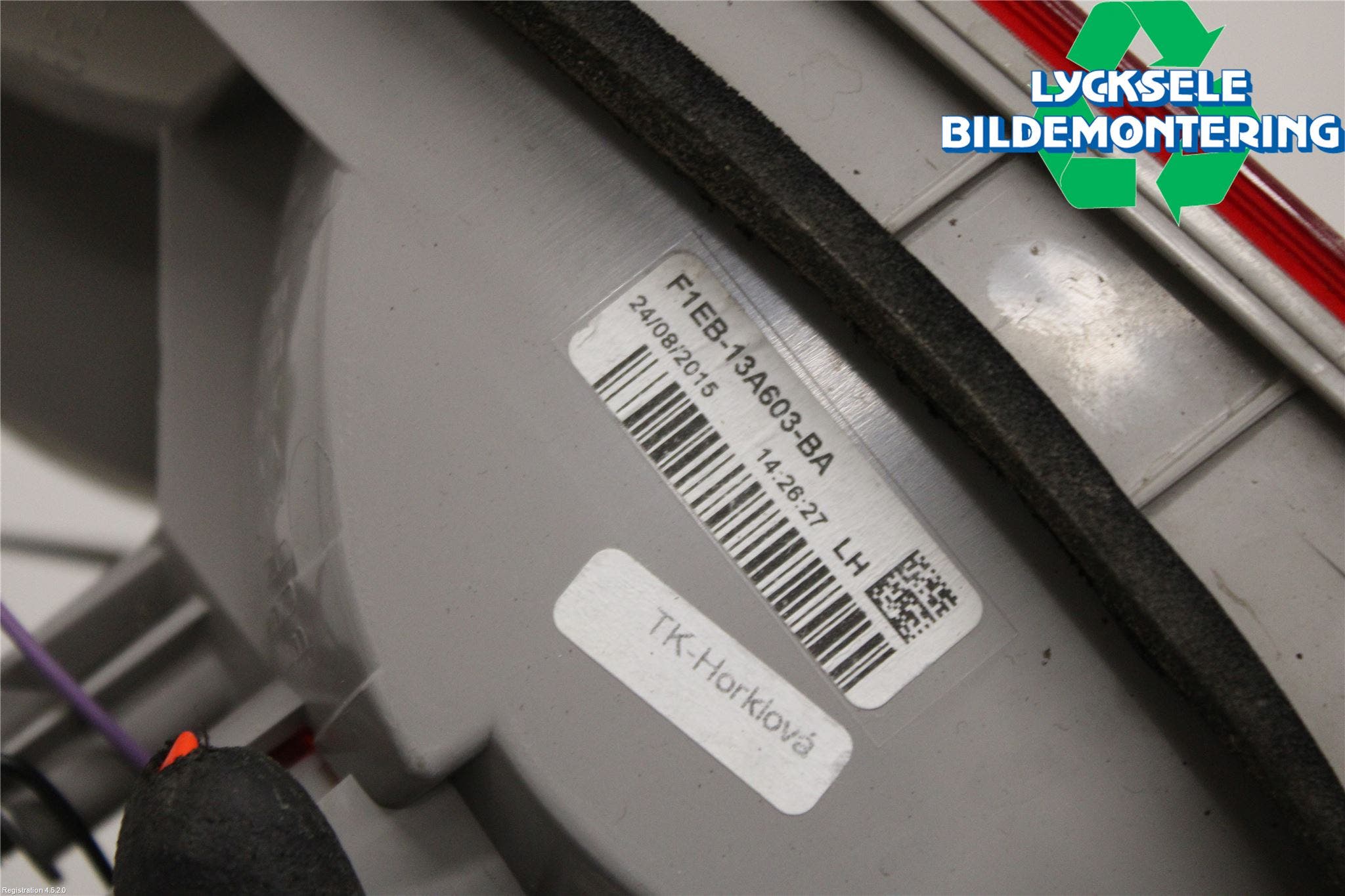 Ford FOCUS 15-18 Bakljus Lucka Vä