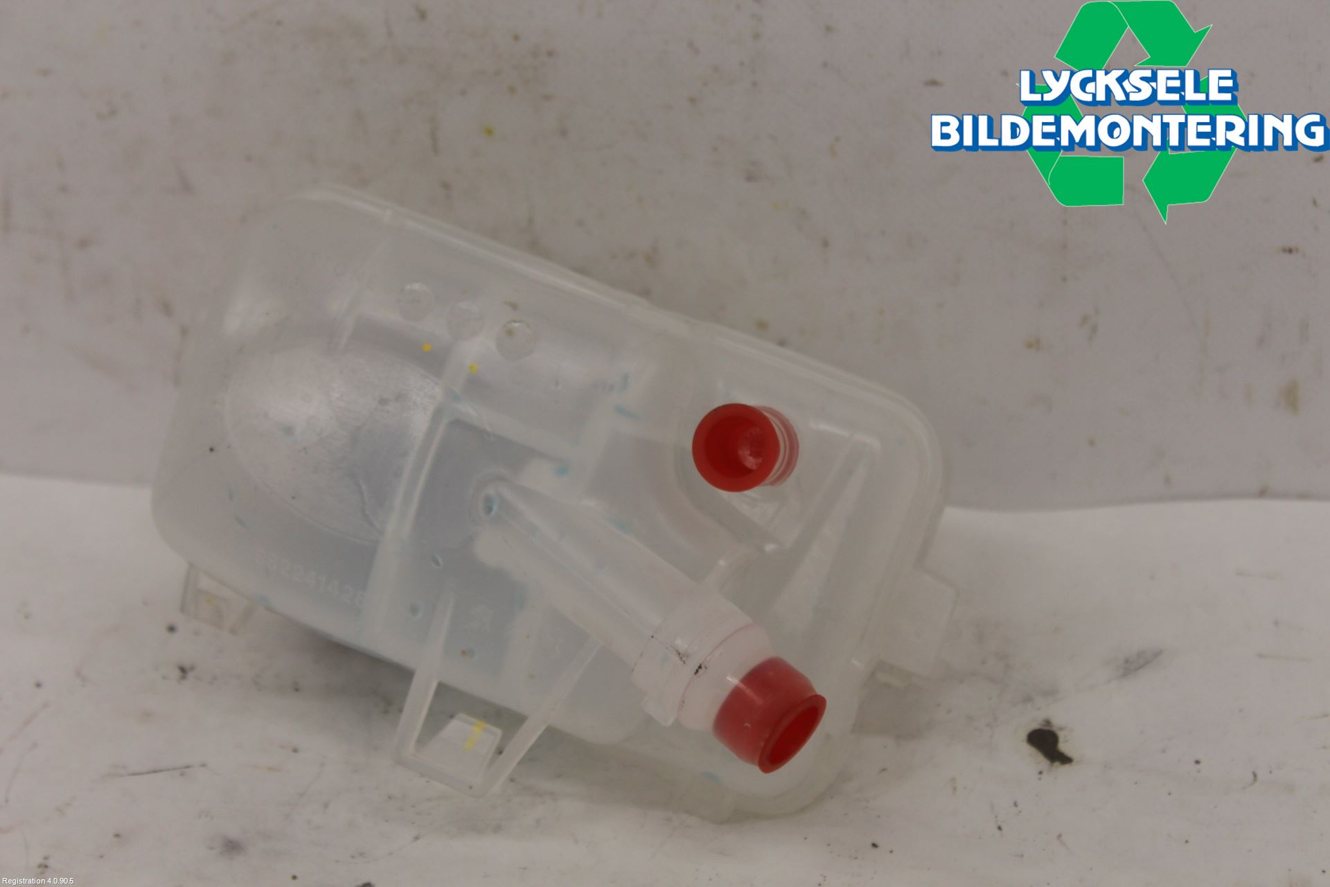 Peugeot 3008 17-24 Expansionstank